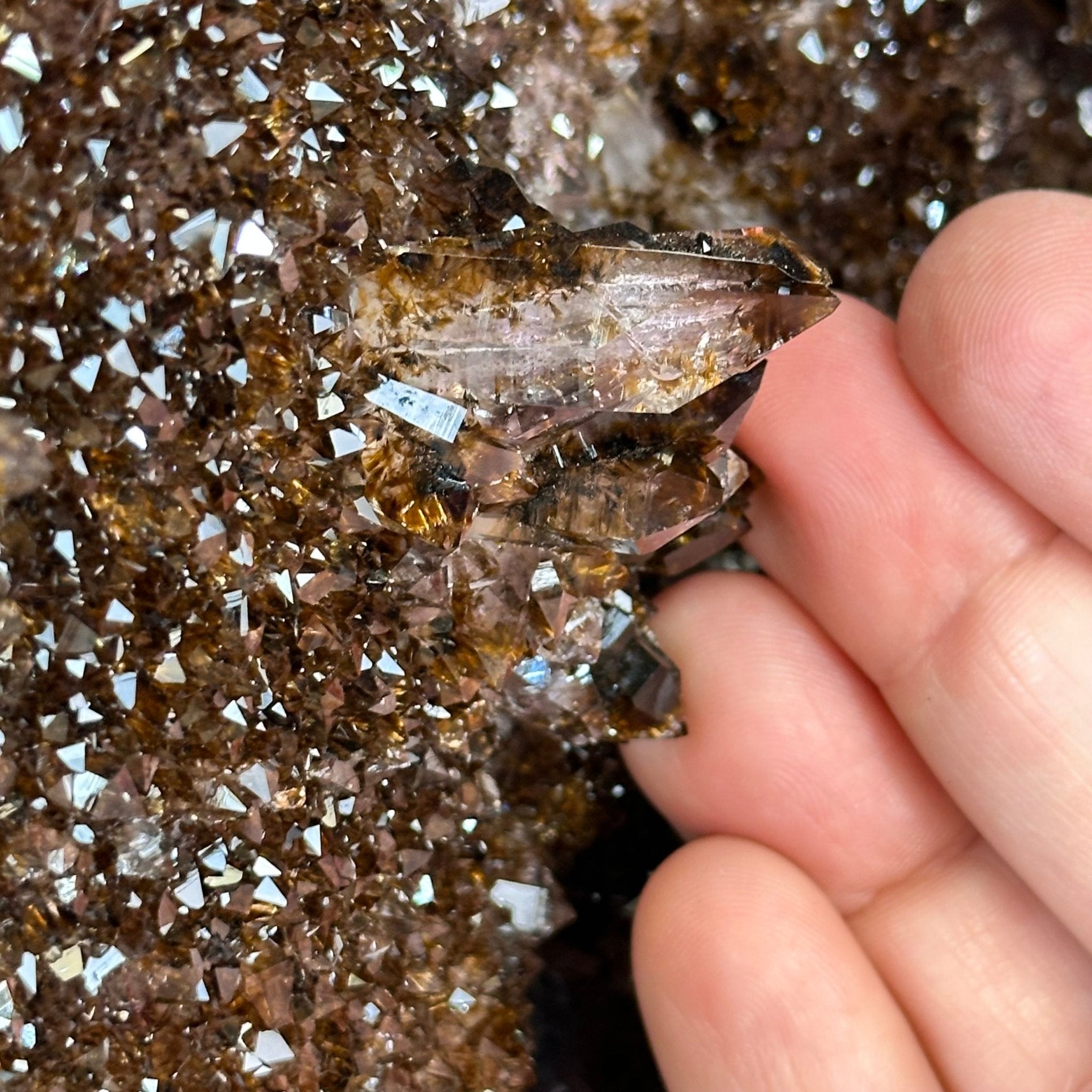 Extra Quality Brazilian Amethyst Cathedral, 131 lbs & 36" Tall #5601-1270 - Brazil GemsBrazil GemsExtra Quality Brazilian Amethyst Cathedral, 131 lbs & 36" Tall #5601-1270Cathedrals5601-1270