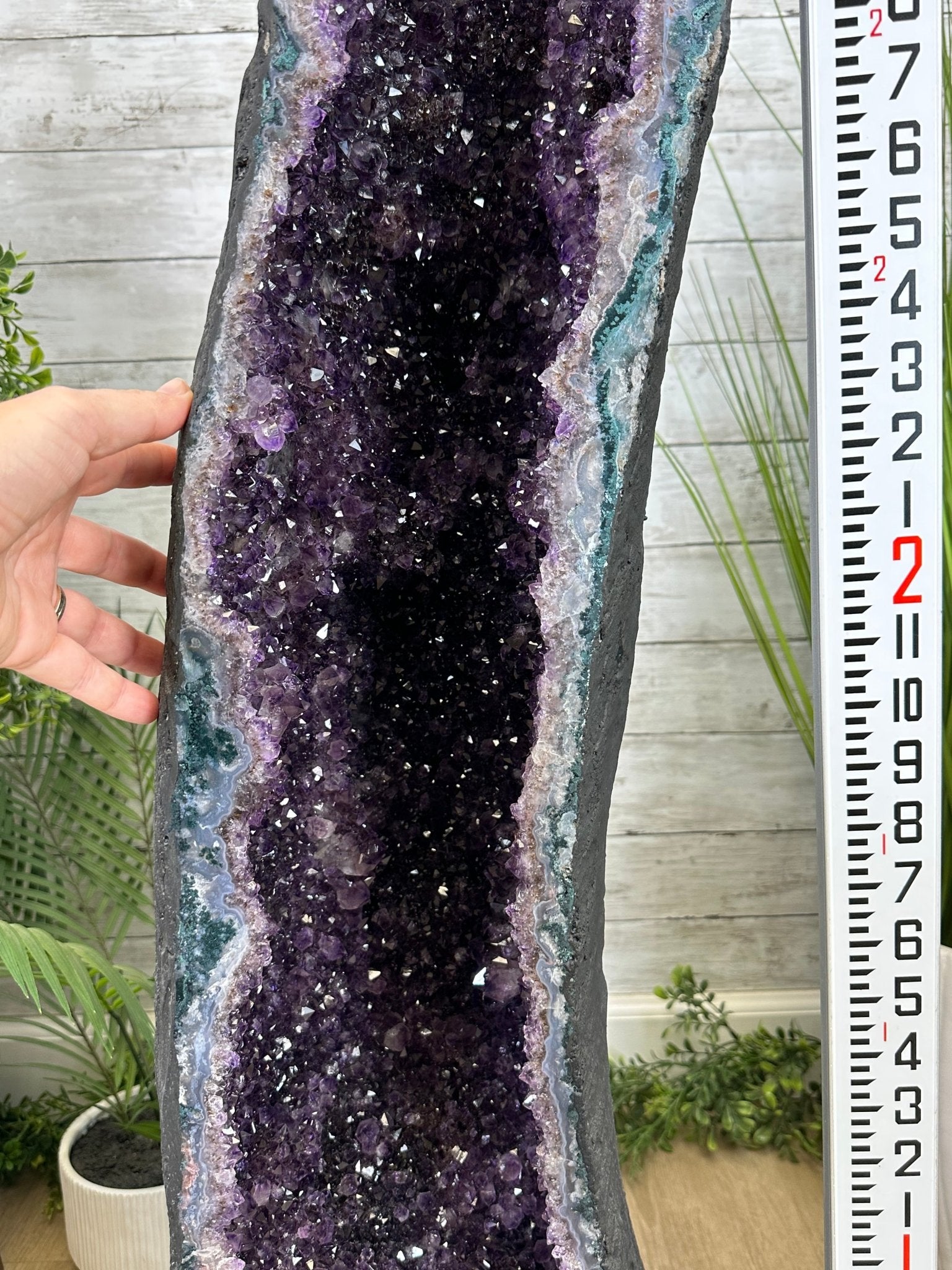 Extra Quality Brazilian Amethyst Cathedral, 138.1 lbs & 42.5" Tall, Model #5601-1240 - Brazil GemsBrazil GemsExtra Quality Brazilian Amethyst Cathedral, 138.1 lbs & 42.5" Tall, Model #5601-1240Cathedrals5601-1240