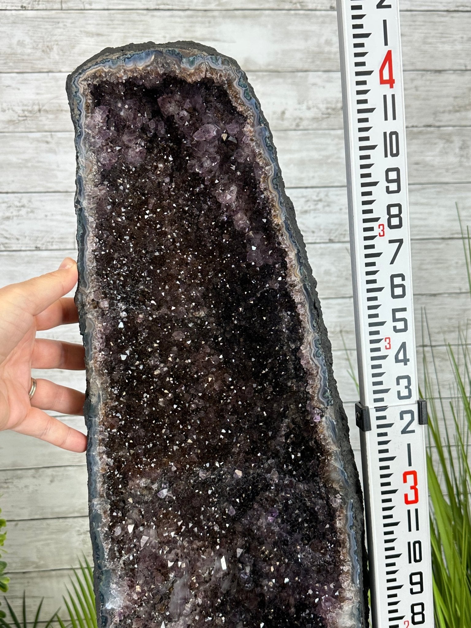 Extra Quality Brazilian Amethyst Cathedral, 143.7 lbs & 49" Tall, Model #5601-1219 by Brazil Gems - Brazil GemsBrazil GemsExtra Quality Brazilian Amethyst Cathedral, 143.7 lbs & 49" Tall, Model #5601-1219 by Brazil GemsCathedrals5601-1219