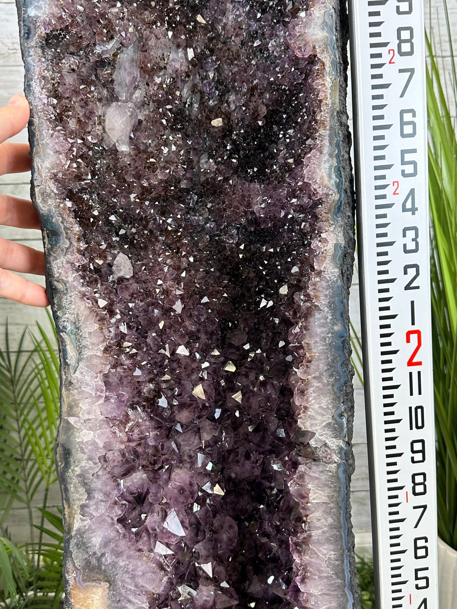 Extra Quality Brazilian Amethyst Cathedral, 143.7 lbs & 49" Tall, Model #5601-1219 by Brazil Gems - Brazil GemsBrazil GemsExtra Quality Brazilian Amethyst Cathedral, 143.7 lbs & 49" Tall, Model #5601-1219 by Brazil GemsCathedrals5601-1219
