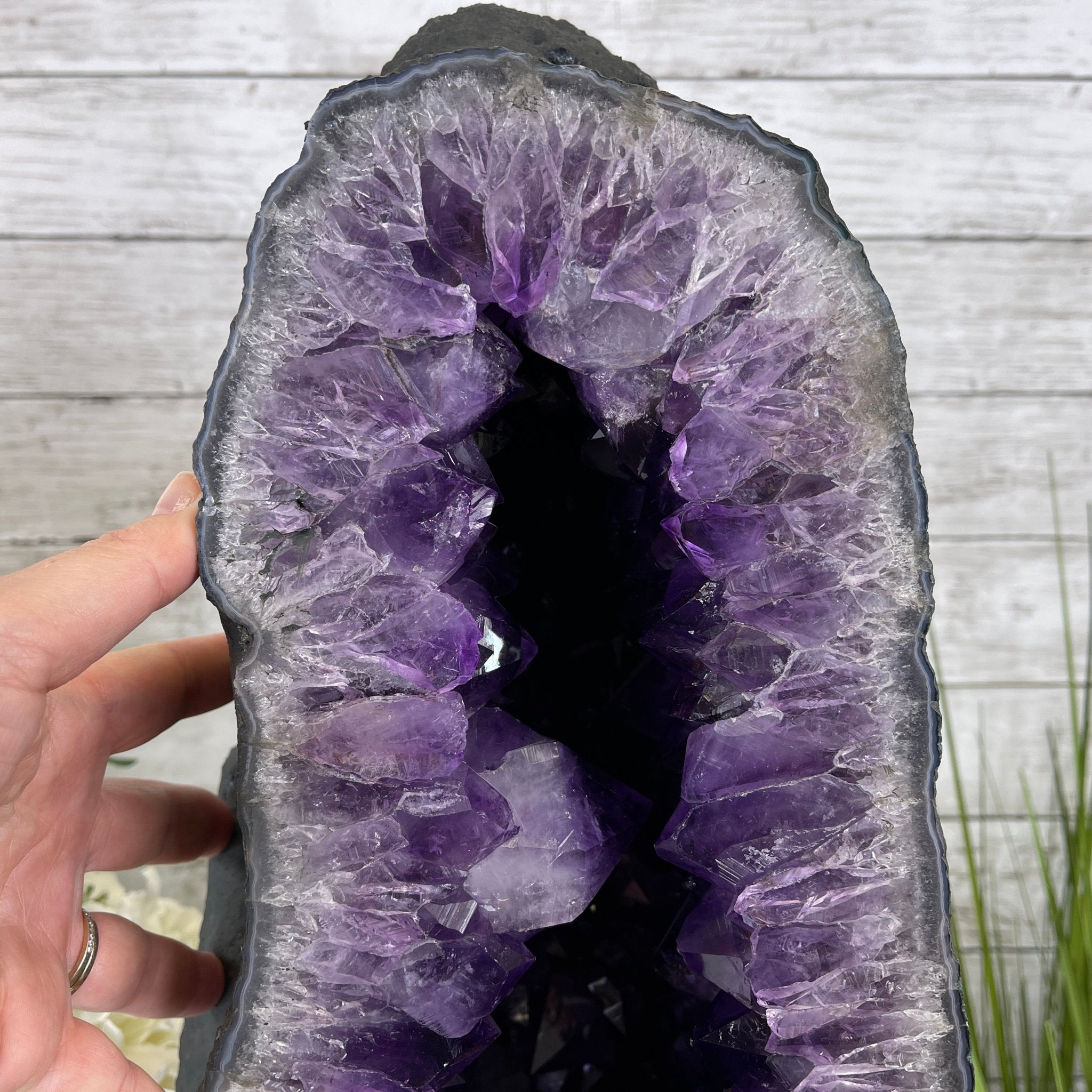 Extra Quality Brazilian Amethyst Cathedral, 19.6” tall & 81.4 lbs #5601-0708 by Brazil Gems - Brazil GemsBrazil GemsExtra Quality Brazilian Amethyst Cathedral, 19.6” tall & 81.4 lbs #5601-0708 by Brazil GemsCathedrals5601-0708