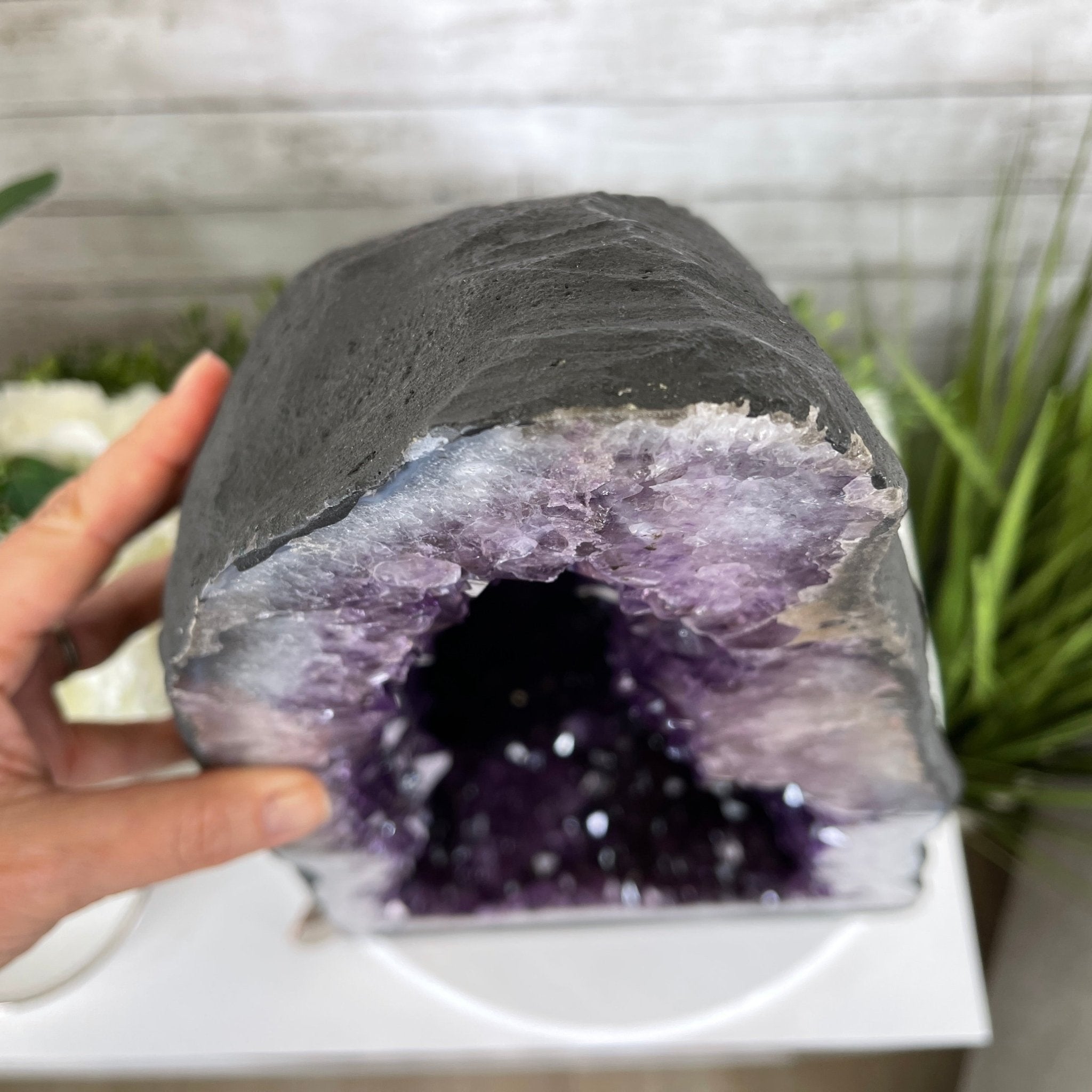 Extra Quality Brazilian Amethyst Cathedral, 20.5” tall & 86.3 lbs #5601-0646 by Brazil Gems - Brazil GemsBrazil GemsExtra Quality Brazilian Amethyst Cathedral, 20.5” tall & 86.3 lbs #5601-0646 by Brazil GemsCathedrals5601-0646