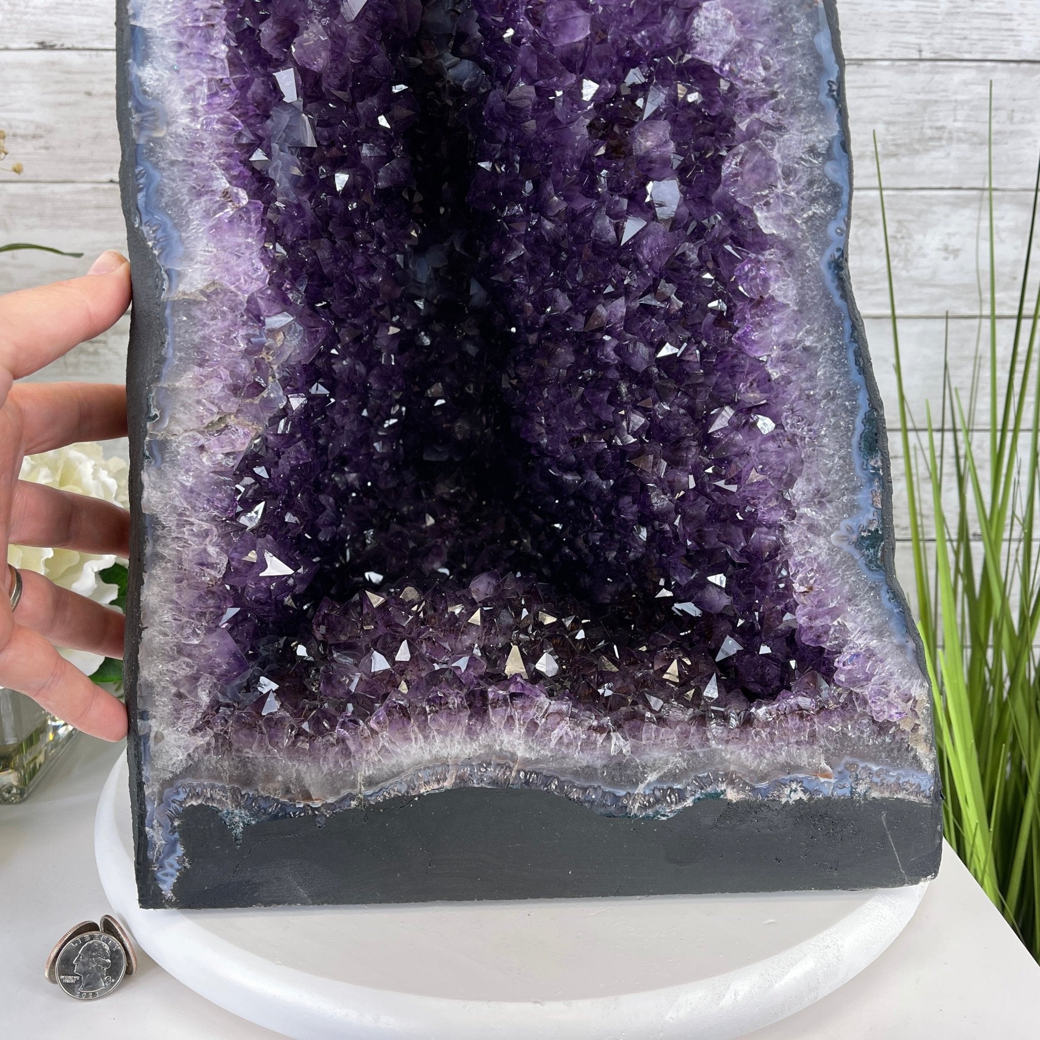 Extra Quality Brazilian Amethyst Cathedral, 20.5” tall & 86.3 lbs #5601-0646 by Brazil Gems - Brazil GemsBrazil GemsExtra Quality Brazilian Amethyst Cathedral, 20.5” tall & 86.3 lbs #5601-0646 by Brazil GemsCathedrals5601-0646