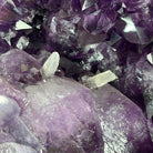 Extra Quality Brazilian Amethyst Cathedral, 20.75” tall & 73 lbs #5601-0444 by Brazil Gems - Brazil GemsBrazil GemsExtra Quality Brazilian Amethyst Cathedral, 20.75” tall & 73 lbs #5601-0444 by Brazil GemsCathedrals5601-0444