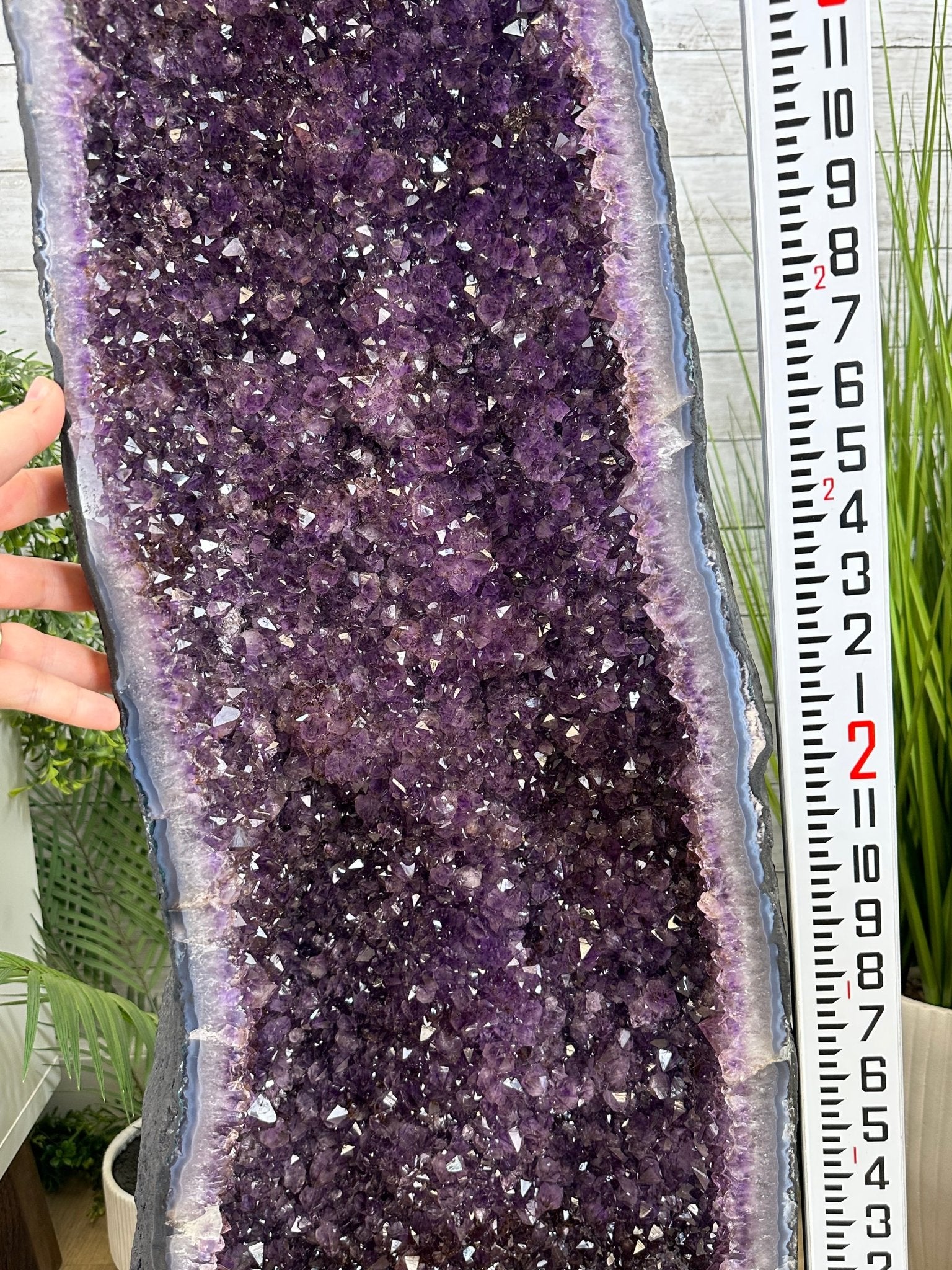 Extra Quality Brazilian Amethyst Cathedral, 223.1 lbs & 47.1" Tall, Model #5601-1223 by Brazil Gems - Brazil GemsBrazil GemsExtra Quality Brazilian Amethyst Cathedral, 223.1 lbs & 47.1" Tall, Model #5601-1223 by Brazil GemsCathedrals5601-1223