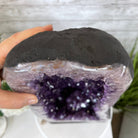 Extra Quality Brazilian Amethyst Cathedral, 23.9” tall & 72.2 lbs #5601-0538 by Brazil Gems - Brazil GemsBrazil GemsExtra Quality Brazilian Amethyst Cathedral, 23.9” tall & 72.2 lbs #5601-0538 by Brazil GemsCathedrals5601-0538