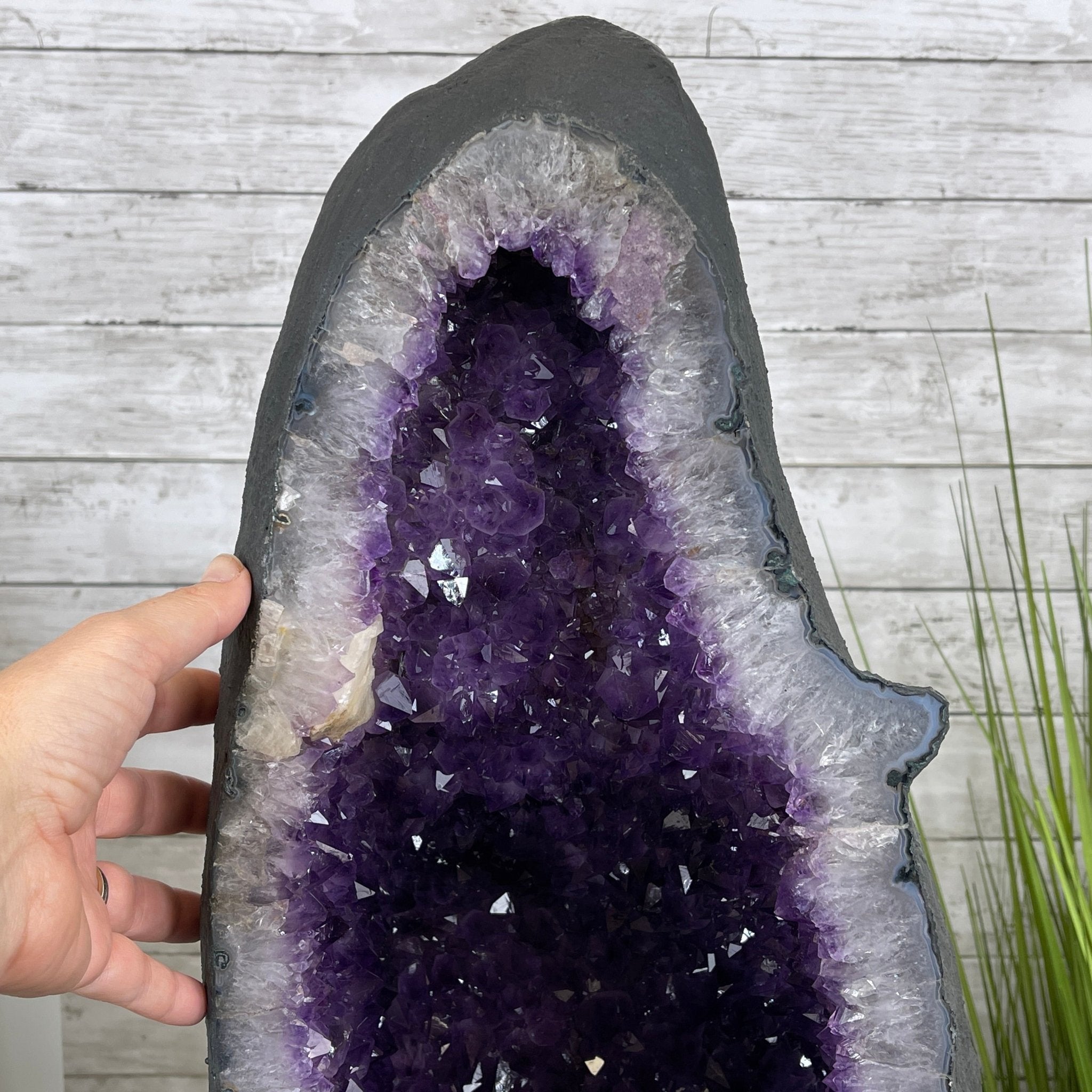 Extra Quality Brazilian Amethyst Cathedral, 25” tall & 119.6 lbs #5601-0651 by Brazil Gems - Brazil GemsBrazil GemsExtra Quality Brazilian Amethyst Cathedral, 25” tall & 119.6 lbs #5601-0651 by Brazil GemsCathedrals5601-0651
