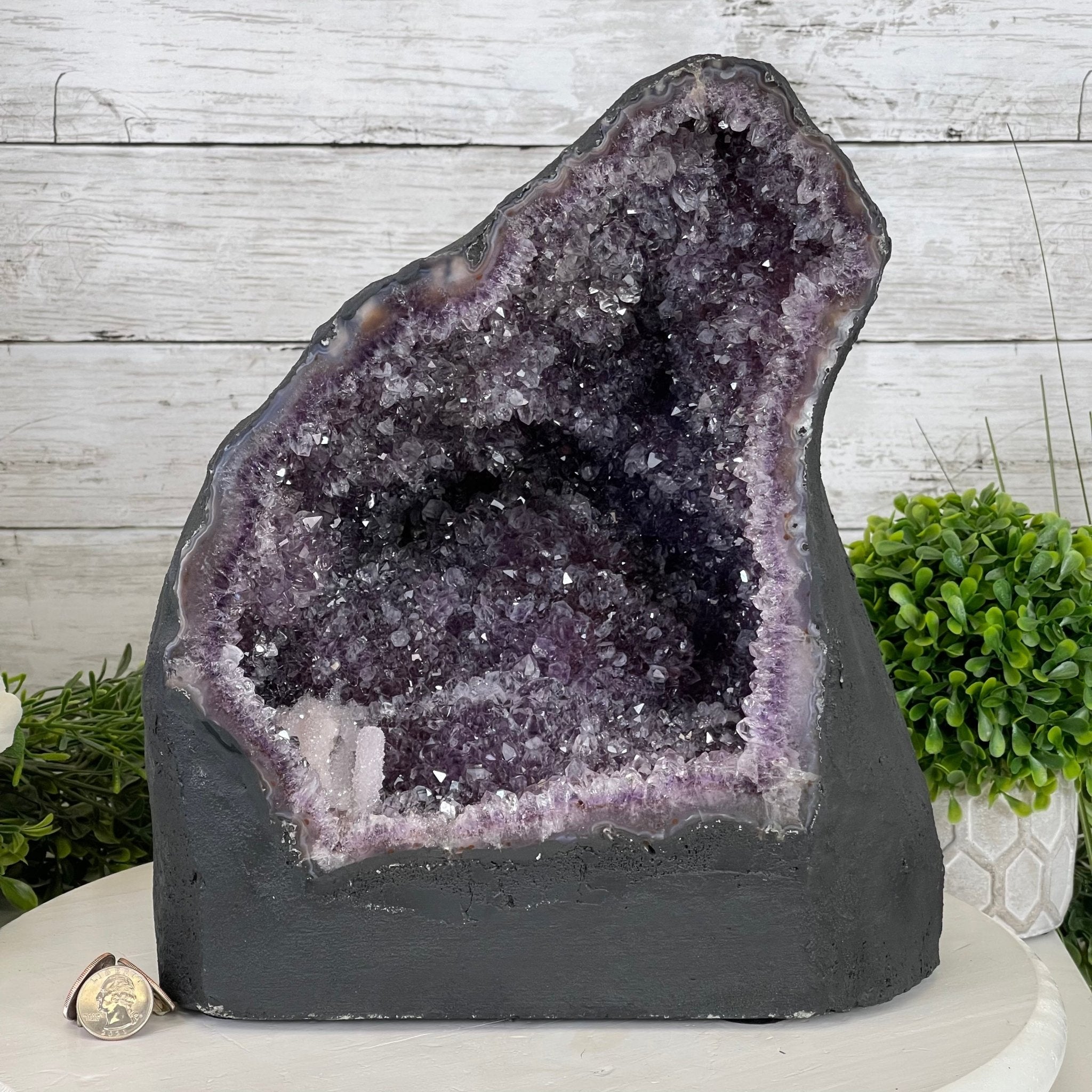 Extra Quality Brazilian Amethyst Cathedral, 33.7 lbs & 12" Tall #5601-0734 by Brazil Gems - Brazil GemsBrazil GemsExtra Quality Brazilian Amethyst Cathedral, 33.7 lbs & 12" Tall #5601-0734 by Brazil GemsCathedrals5601-0734