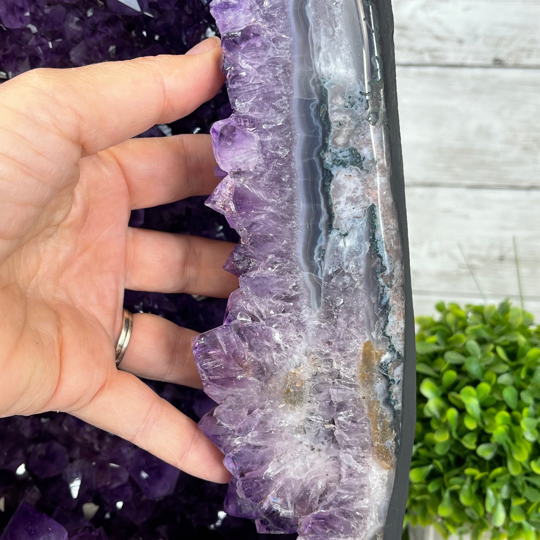 Extra Quality Brazilian Amethyst Cathedral, 47.3 lbs & 17.7" Tall #5601-1128 by Brazil Gems - Brazil GemsBrazil GemsExtra Quality Brazilian Amethyst Cathedral, 47.3 lbs & 17.7" Tall #5601-1128 by Brazil GemsCathedrals5601-1128