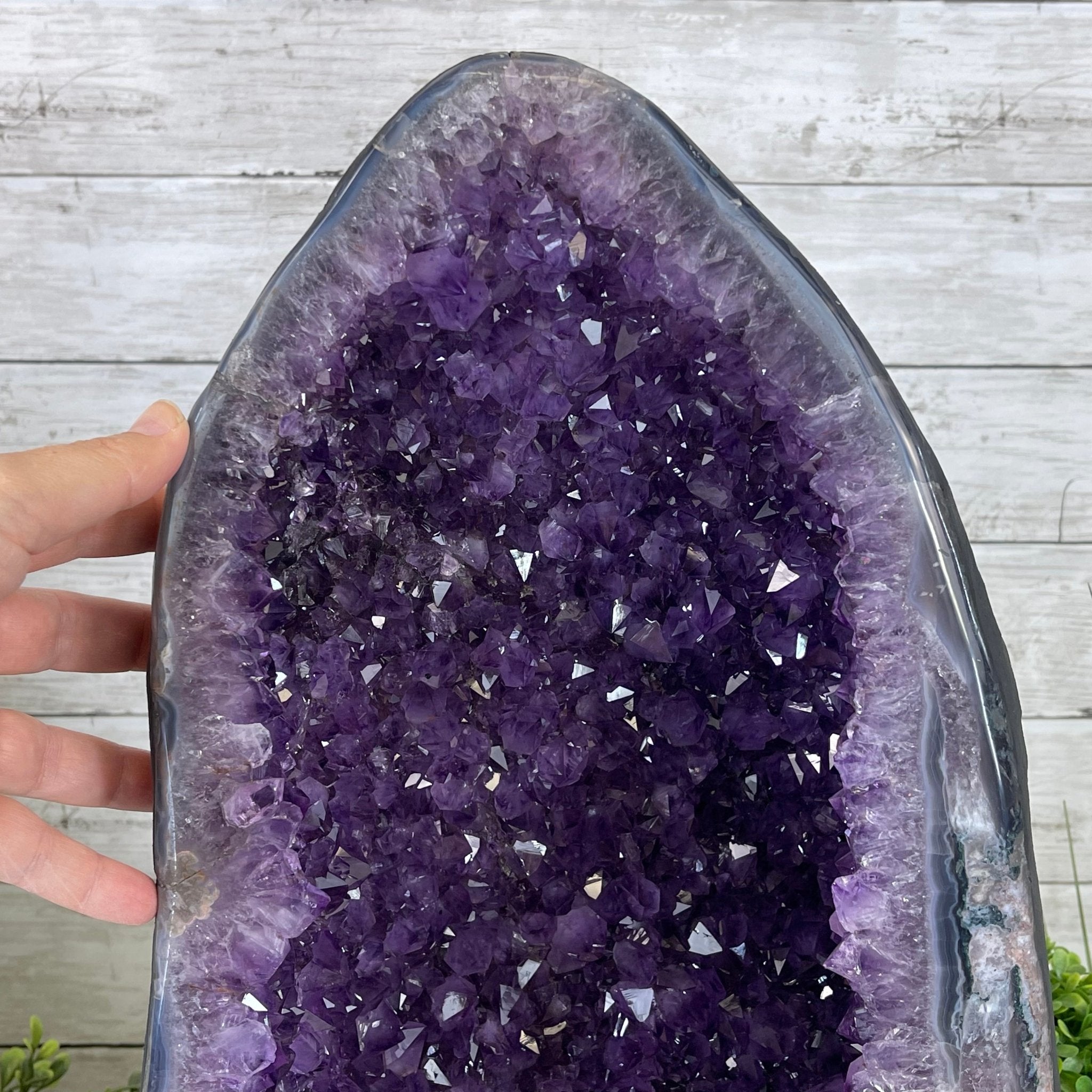 Extra Quality Brazilian Amethyst Cathedral, 47.3 lbs & 17.7" Tall #5601-1128 by Brazil Gems - Brazil GemsBrazil GemsExtra Quality Brazilian Amethyst Cathedral, 47.3 lbs & 17.7" Tall #5601-1128 by Brazil GemsCathedrals5601-1128