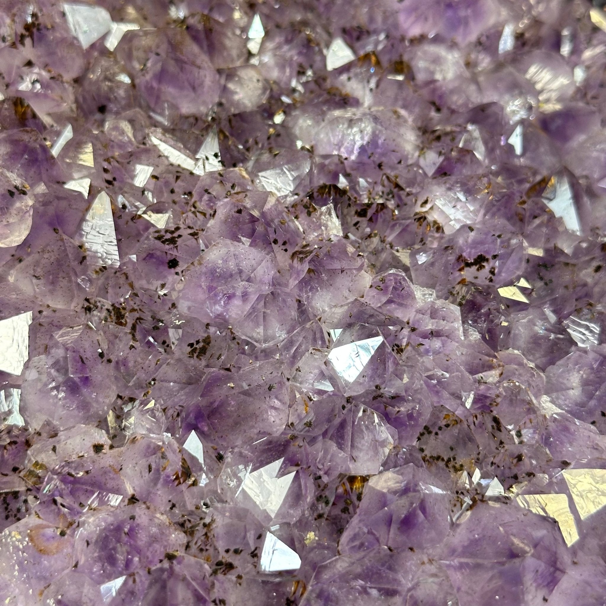 Extra Quality Brazilian Amethyst Cathedral, 510 lbs & 70" Tall #5601-1335 - Brazil GemsBrazil GemsExtra Quality Brazilian Amethyst Cathedral, 510 lbs & 70" Tall #5601-1335Cathedrals5601-1335