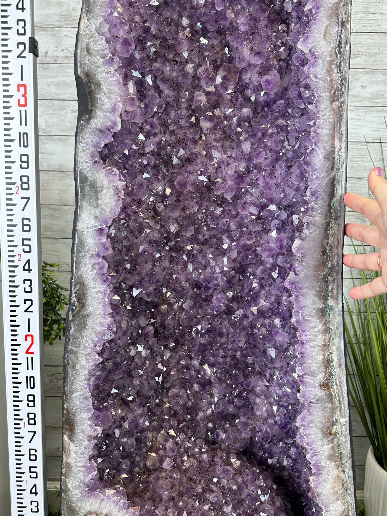 Extra Quality Brazilian Amethyst Cathedral, 510 lbs & 70" Tall #5601-1335 - Brazil GemsBrazil GemsExtra Quality Brazilian Amethyst Cathedral, 510 lbs & 70" Tall #5601-1335Cathedrals5601-1335