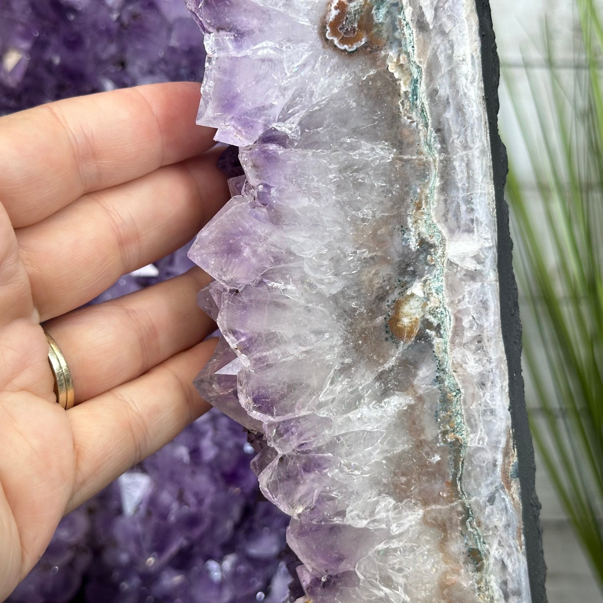 Extra Quality Brazilian Amethyst Cathedral, 510 lbs & 70" Tall #5601-1335 - Brazil GemsBrazil GemsExtra Quality Brazilian Amethyst Cathedral, 510 lbs & 70" Tall #5601-1335Cathedrals5601-1335