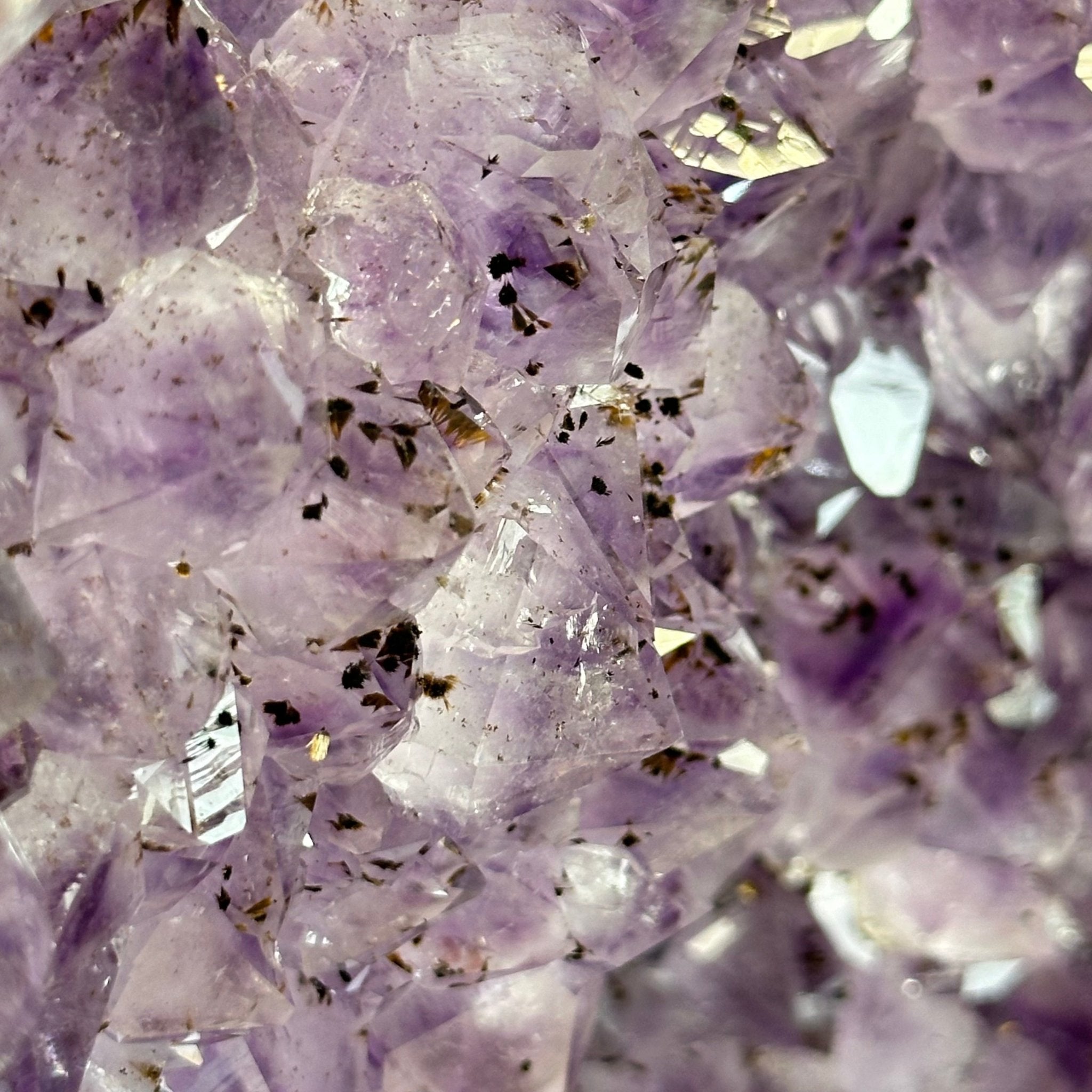 Extra Quality Brazilian Amethyst Cathedral, 510 lbs & 70" Tall #5601-1335 - Brazil GemsBrazil GemsExtra Quality Brazilian Amethyst Cathedral, 510 lbs & 70" Tall #5601-1335Cathedrals5601-1335