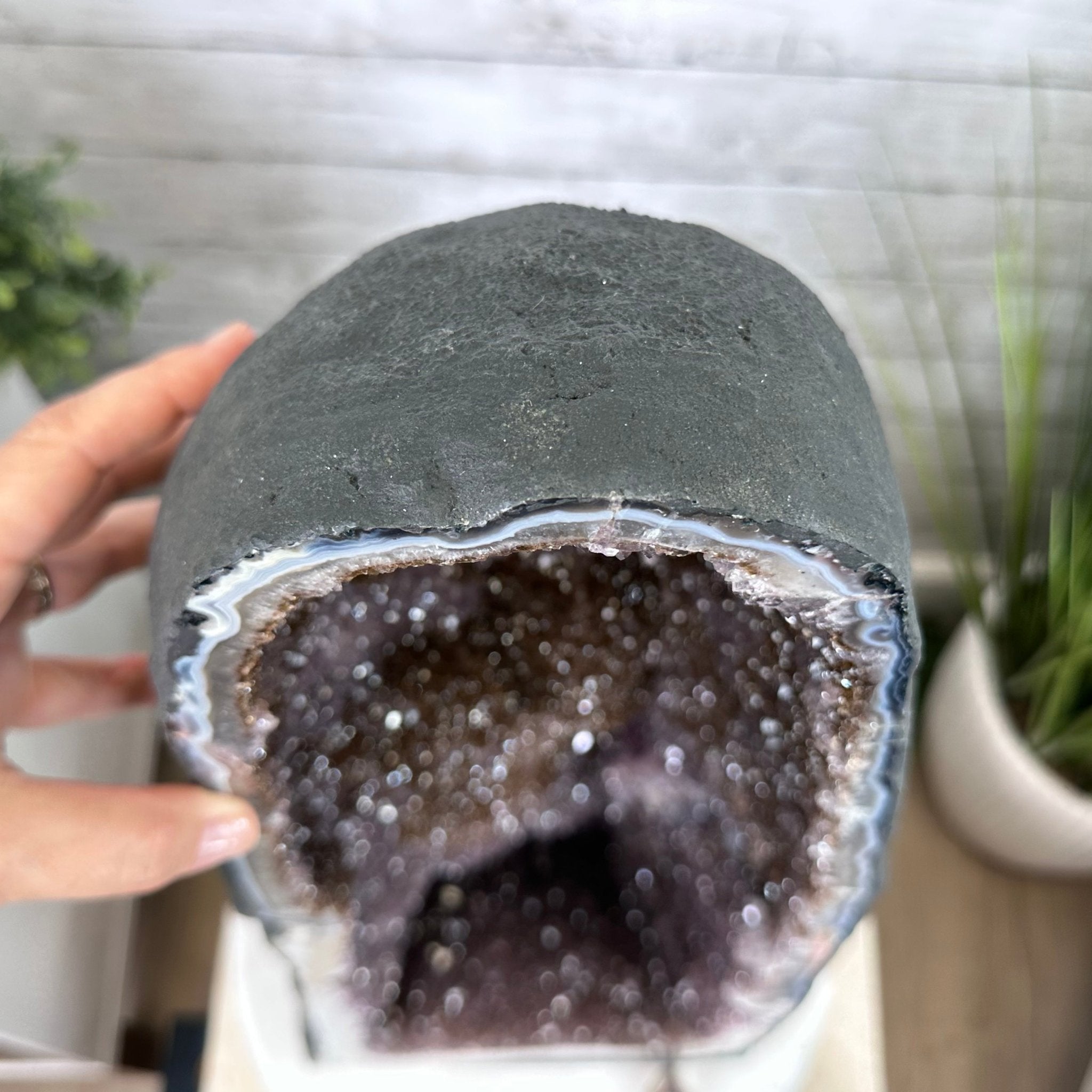 Extra Quality Brazilian Amethyst Cathedral, 83 lbs & 26.5” tall Model #5601-0827 by Brazil Gems - Brazil GemsBrazil GemsExtra Quality Brazilian Amethyst Cathedral, 83 lbs & 26.5” tall Model #5601-0827 by Brazil GemsCathedrals5601-0827