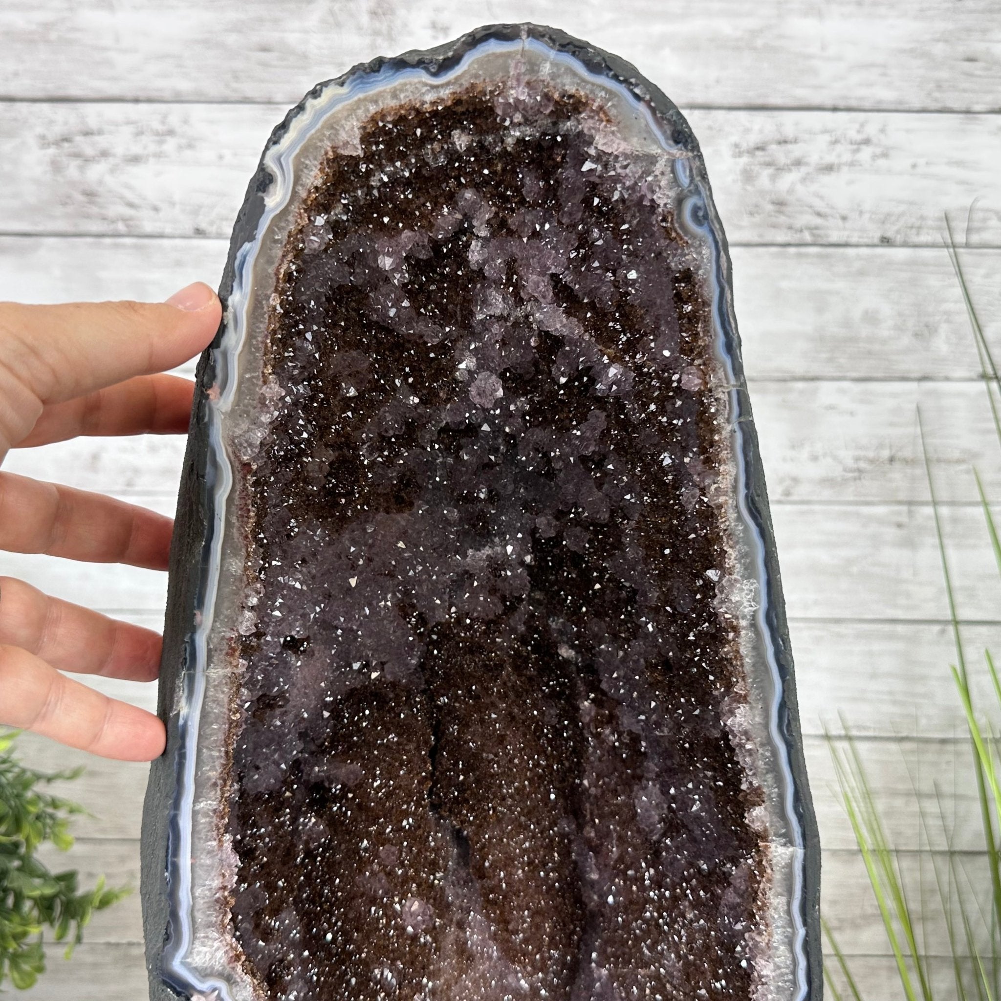 Extra Quality Brazilian Amethyst Cathedral, 83 lbs & 26.5” tall Model #5601-0827 by Brazil Gems - Brazil GemsBrazil GemsExtra Quality Brazilian Amethyst Cathedral, 83 lbs & 26.5” tall Model #5601-0827 by Brazil GemsCathedrals5601-0827