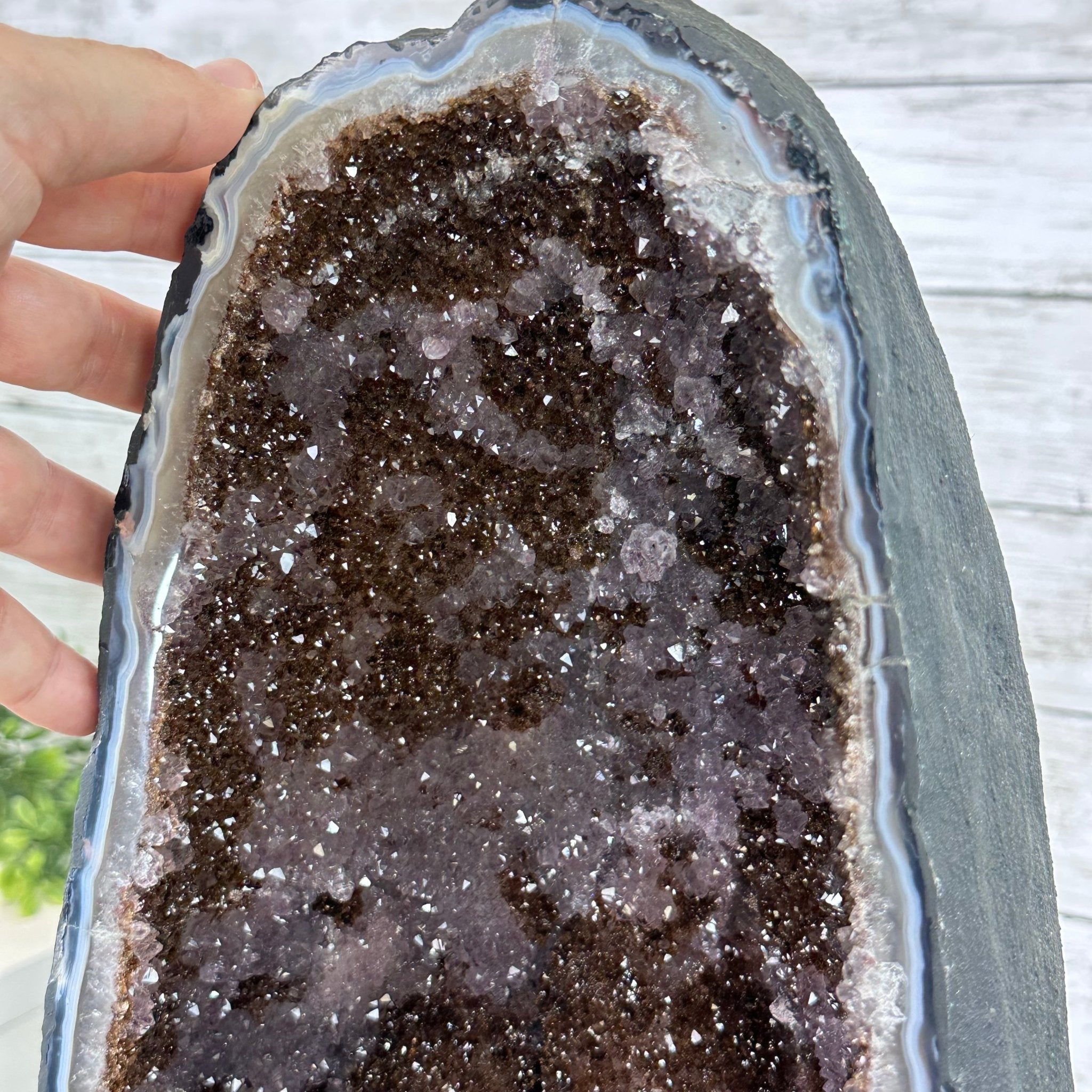 Extra Quality Brazilian Amethyst Cathedral, 83 lbs & 26.5” tall Model #5601-0827 by Brazil Gems - Brazil GemsBrazil GemsExtra Quality Brazilian Amethyst Cathedral, 83 lbs & 26.5” tall Model #5601-0827 by Brazil GemsCathedrals5601-0827