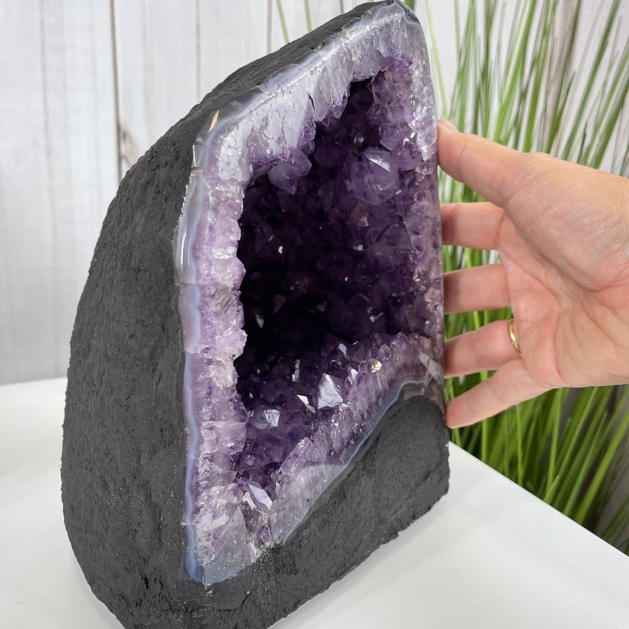 Extra Quality Brazilian Amethyst Cathedral, 9.5” tall & 14.4 lbs #5601-0461 by Brazil Gems - Brazil GemsBrazil GemsExtra Quality Brazilian Amethyst Cathedral, 9.5” tall & 14.4 lbs #5601-0461 by Brazil GemsCathedrals5601-0461