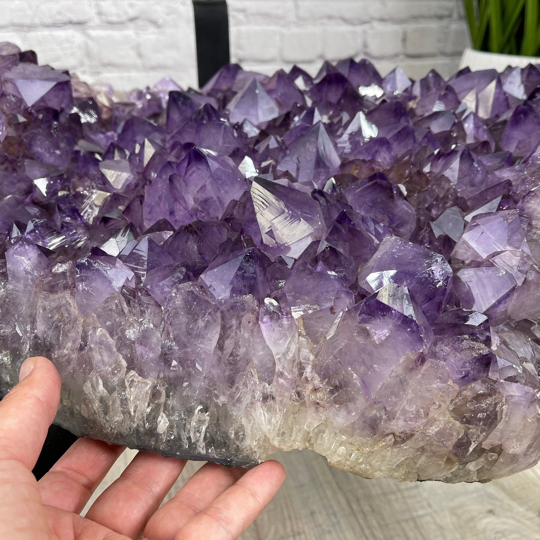 Extra Quality Brazilian Amethyst Coffee Table, 103.6 lbs & 16" tall #1385-0048 by Brazil Gems - Brazil GemsBrazil GemsExtra Quality Brazilian Amethyst Coffee Table, 103.6 lbs & 16" tall #1385-0048 by Brazil GemsTables: Coffee1385-0048