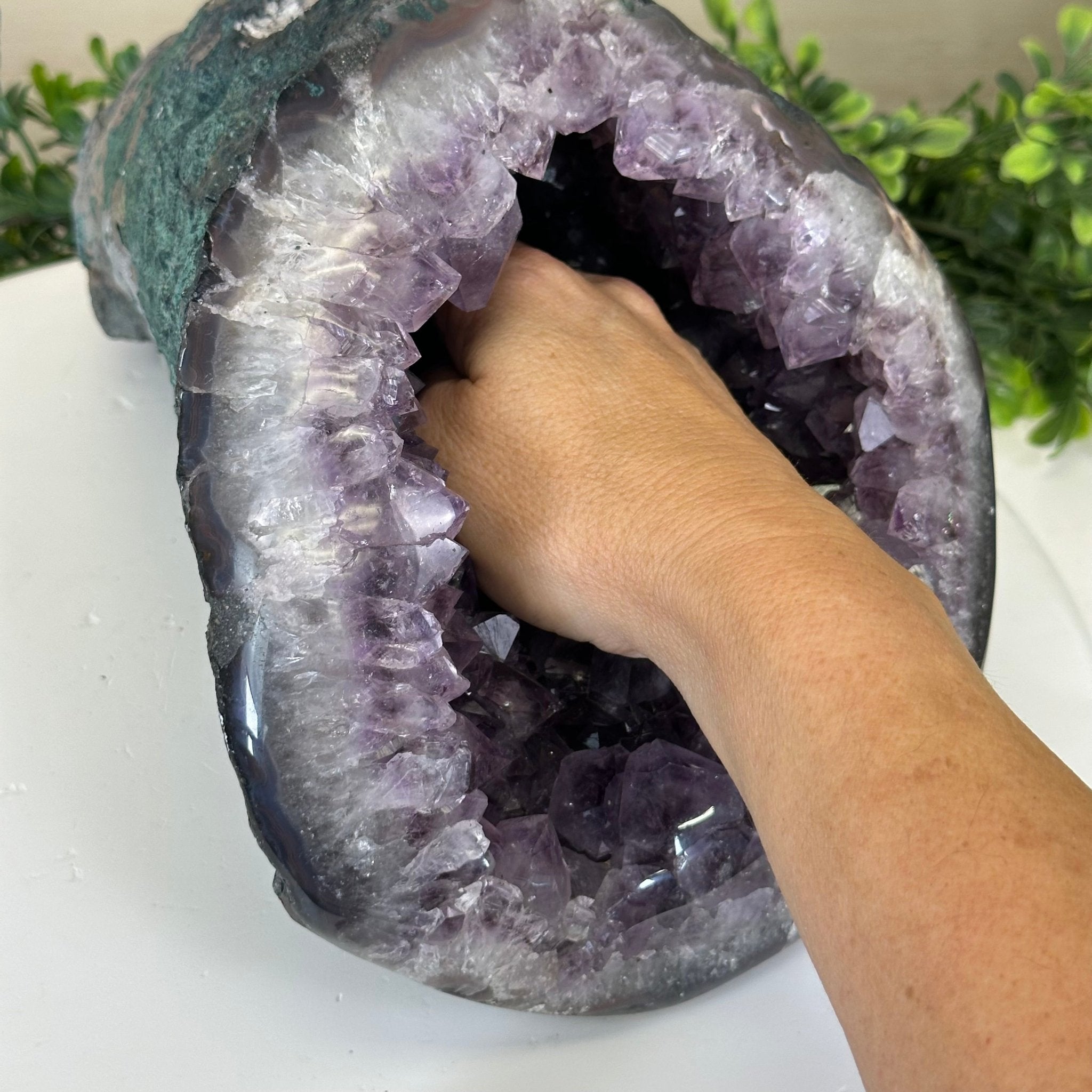 Extra Quality Brazilian Amethyst Cone, 15.2 lbs & 6.7" Tall 5619AM - 015 - Brazil GemsBrazil GemsExtra Quality Brazilian Amethyst Cone, 15.2 lbs & 6.7" Tall 5619AM - 015Crystal Cones5619AM - 015