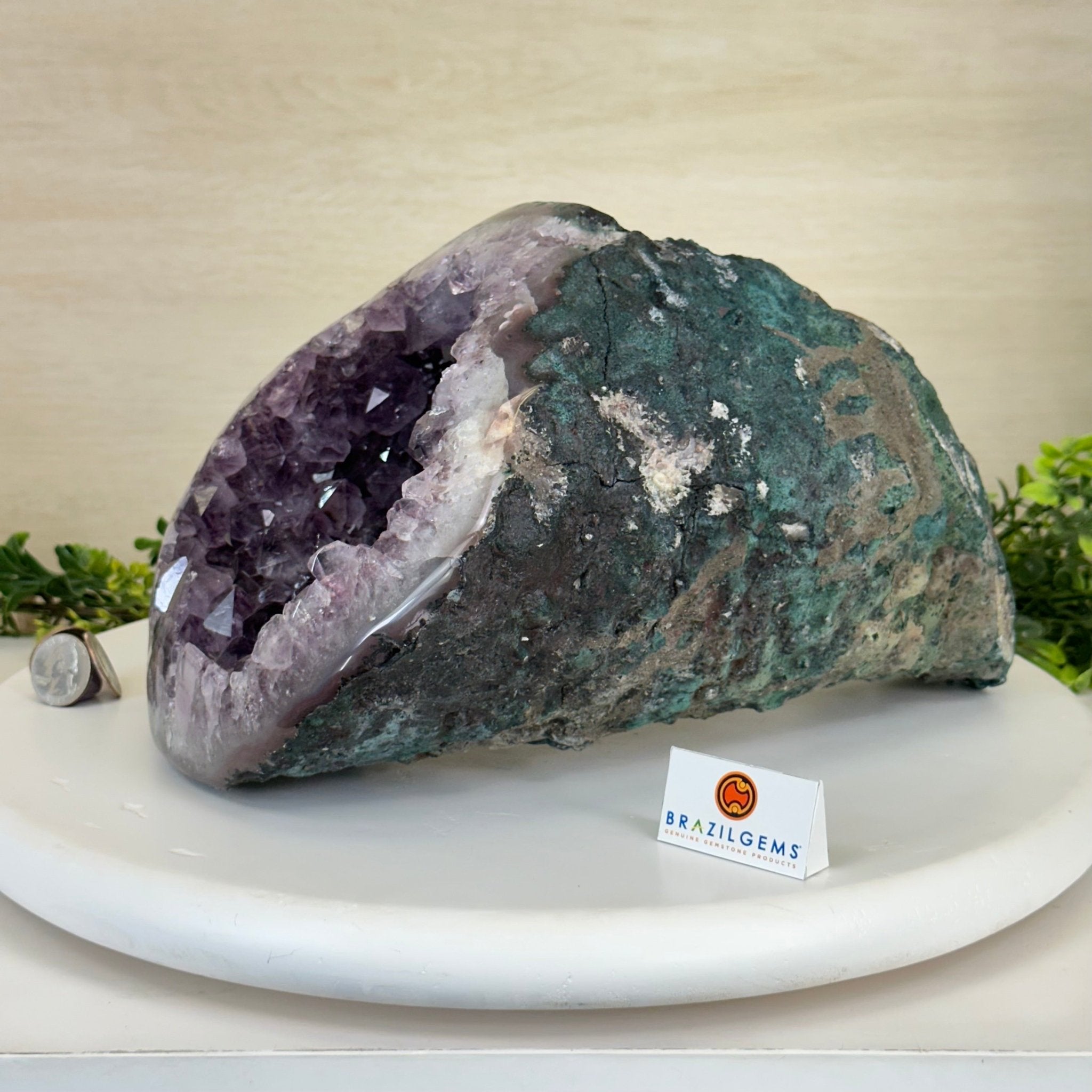 Extra Quality Brazilian Amethyst Cone, 15.2 lbs & 6.7" Tall 5619AM - 015 - Brazil GemsBrazil GemsExtra Quality Brazilian Amethyst Cone, 15.2 lbs & 6.7" Tall 5619AM - 015Crystal Cones5619AM - 015