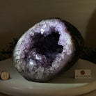 Extra Quality Brazilian Amethyst Cone, 15.2 lbs & 6.7" Tall 5619AM - 015 - Brazil GemsBrazil GemsExtra Quality Brazilian Amethyst Cone, 15.2 lbs & 6.7" Tall 5619AM - 015Crystal Cones5619AM - 015