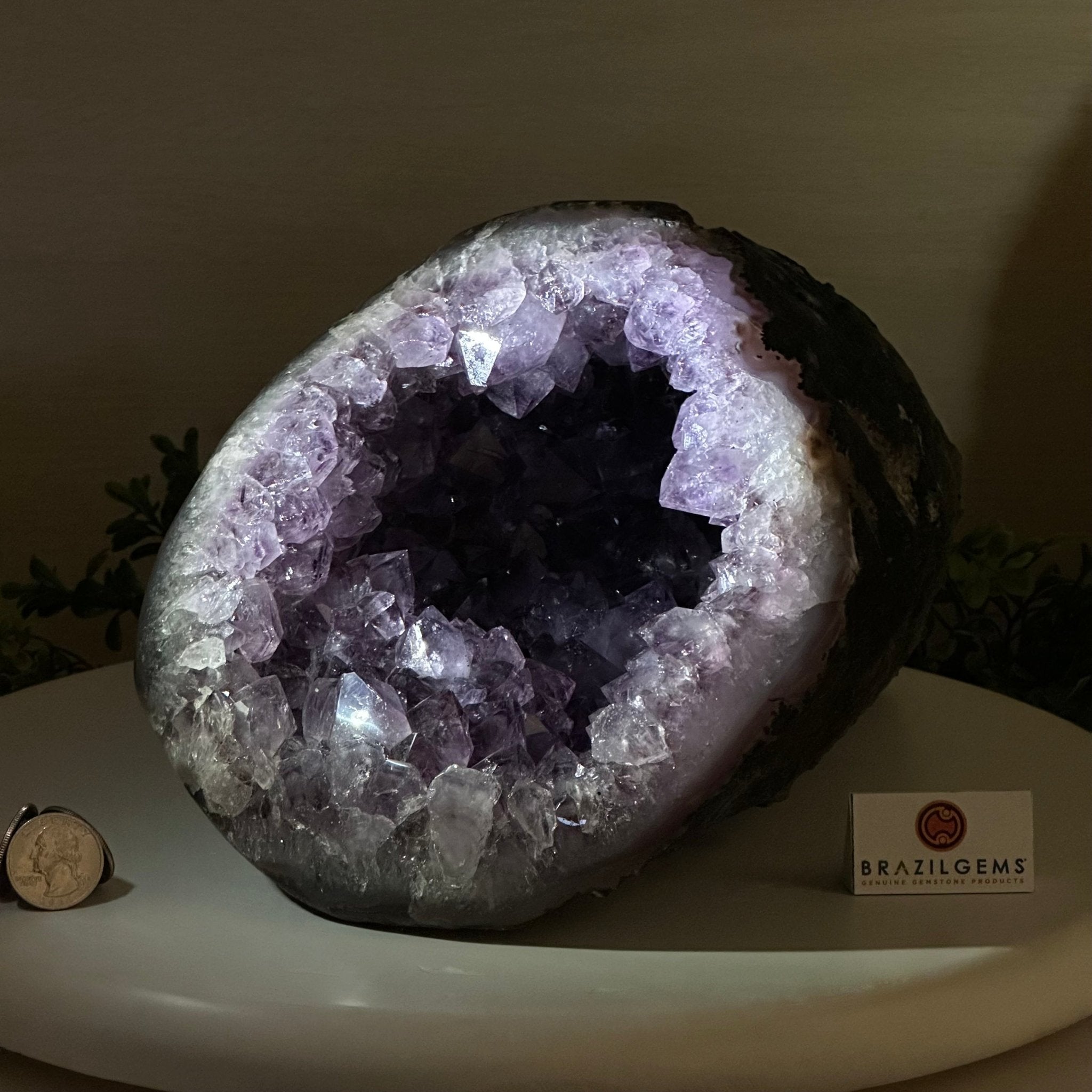 Extra Quality Brazilian Amethyst Cone, 15.2 lbs & 6.7" Tall 5619AM - 015 - Brazil GemsBrazil GemsExtra Quality Brazilian Amethyst Cone, 15.2 lbs & 6.7" Tall 5619AM - 015Crystal Cones5619AM - 015