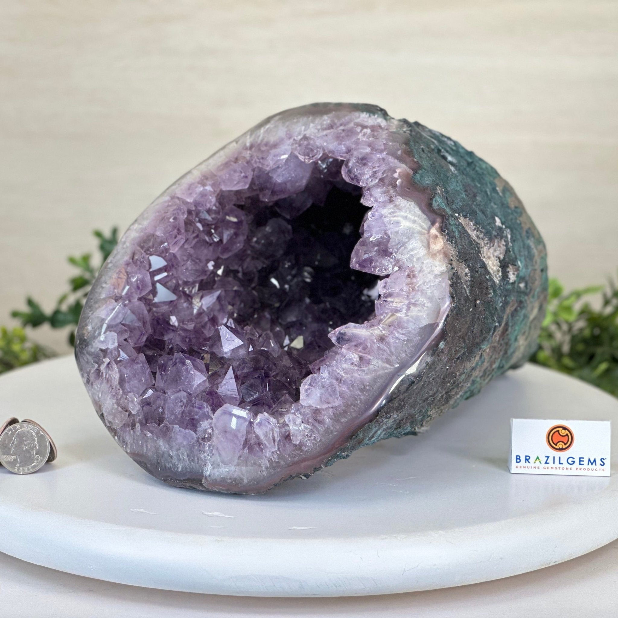Extra Quality Brazilian Amethyst Cone, 15.2 lbs & 6.7" Tall 5619AM - 015 - Brazil GemsBrazil GemsExtra Quality Brazilian Amethyst Cone, 15.2 lbs & 6.7" Tall 5619AM - 015Crystal Cones5619AM - 015