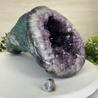 Extra Quality Brazilian Amethyst Cone, 15.2 lbs & 6.7" Tall 5619AM - 015 - Brazil GemsBrazil GemsExtra Quality Brazilian Amethyst Cone, 15.2 lbs & 6.7" Tall 5619AM - 015Crystal Cones5619AM - 015