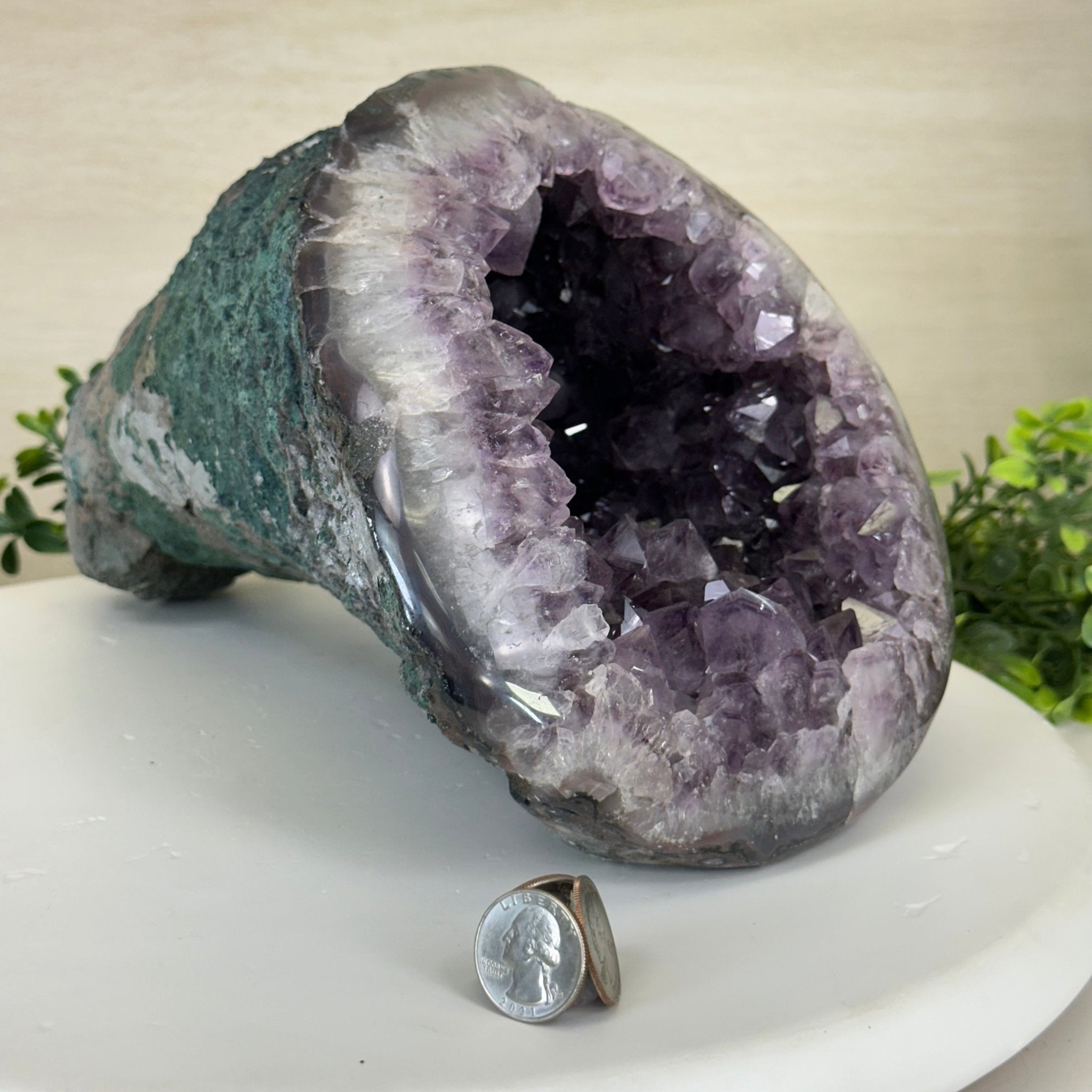 Extra Quality Brazilian Amethyst Cone, 15.2 lbs & 6.7" Tall 5619AM - 015 - Brazil GemsBrazil GemsExtra Quality Brazilian Amethyst Cone, 15.2 lbs & 6.7" Tall 5619AM - 015Crystal Cones5619AM - 015