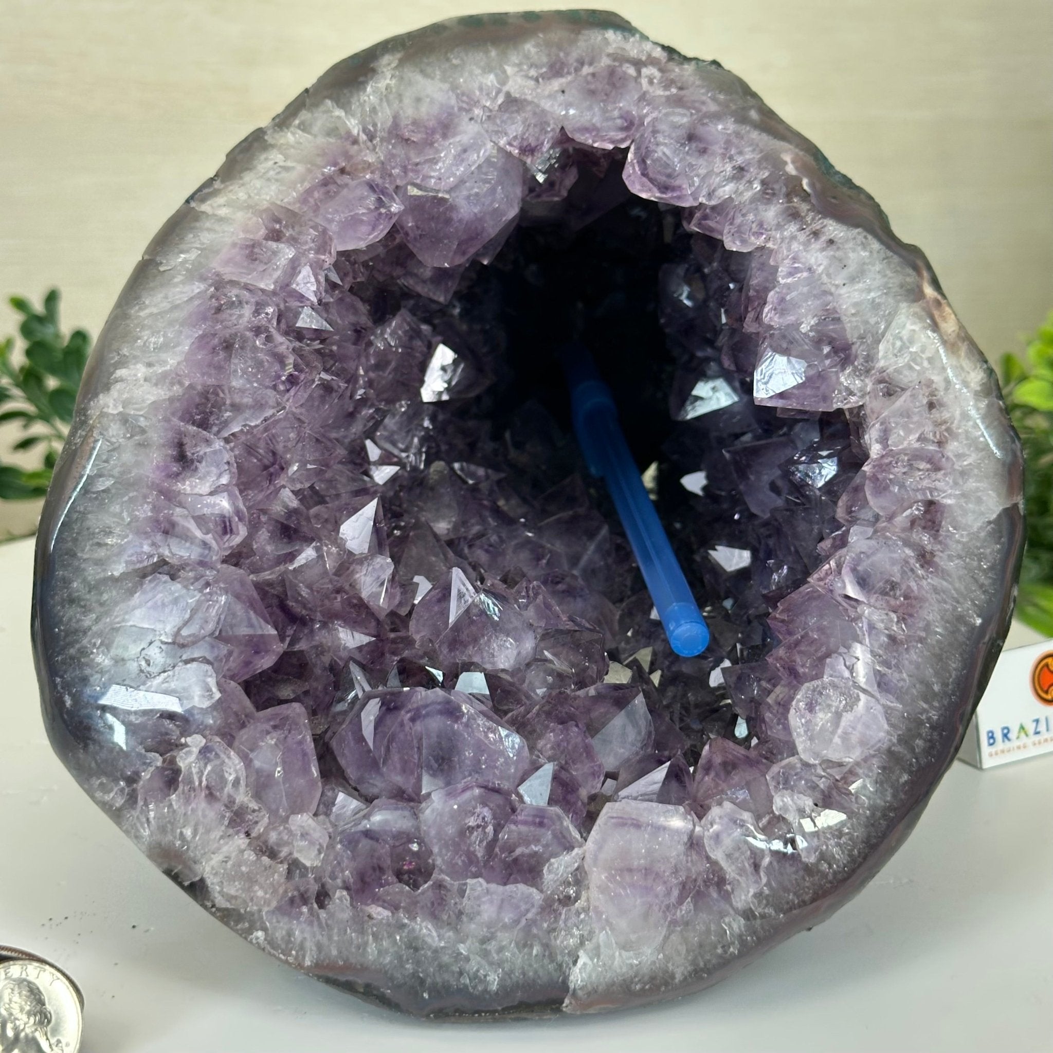 Extra Quality Brazilian Amethyst Cone, 15.2 lbs & 6.7" Tall 5619AM - 015 - Brazil GemsBrazil GemsExtra Quality Brazilian Amethyst Cone, 15.2 lbs & 6.7" Tall 5619AM - 015Crystal Cones5619AM - 015