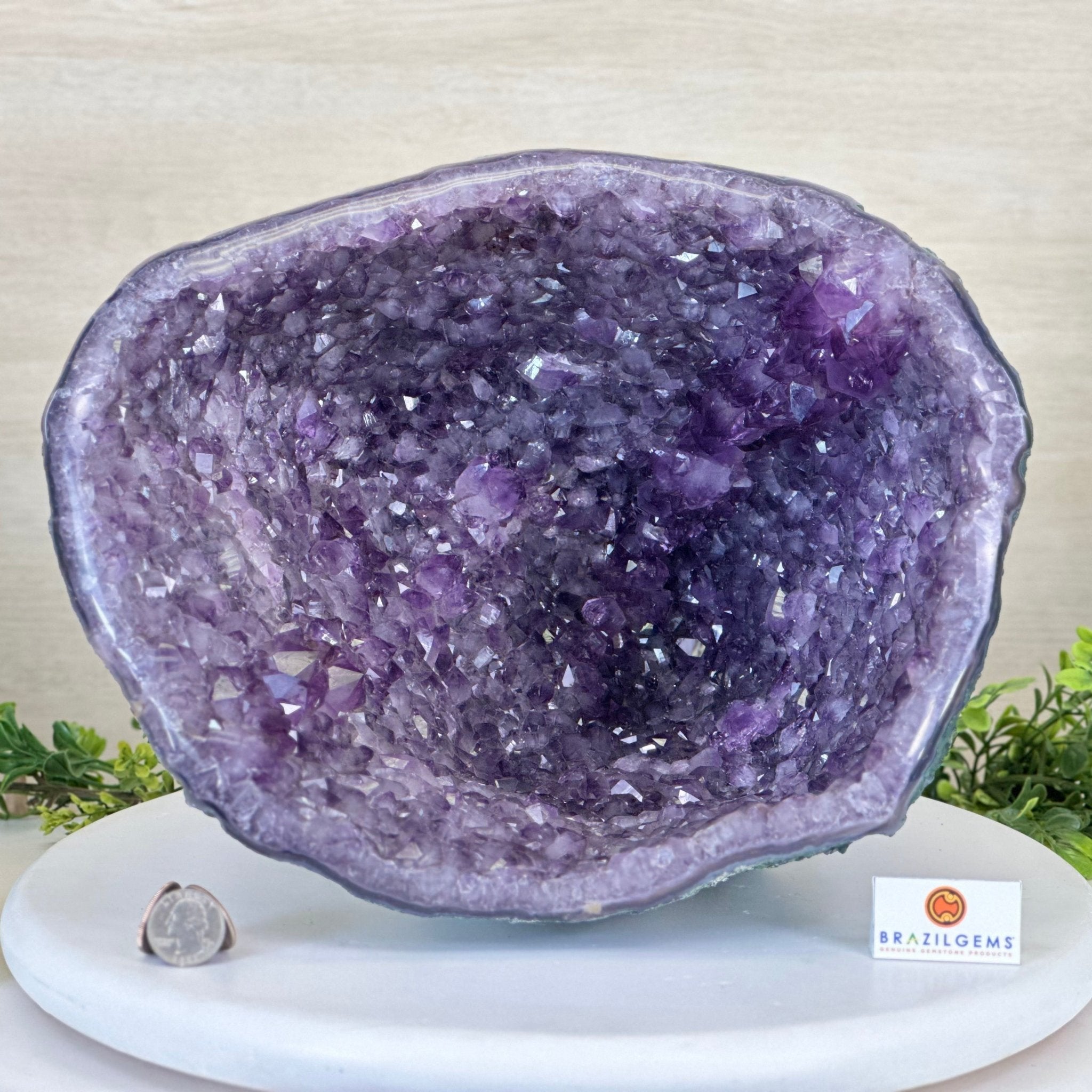 Extra Quality Brazilian Amethyst Cone, 15.3 lbs & 9.9" Tall 5619AM - 016 - Brazil GemsBrazil GemsExtra Quality Brazilian Amethyst Cone, 15.3 lbs & 9.9" Tall 5619AM - 016Crystal Cones5619AM - 016