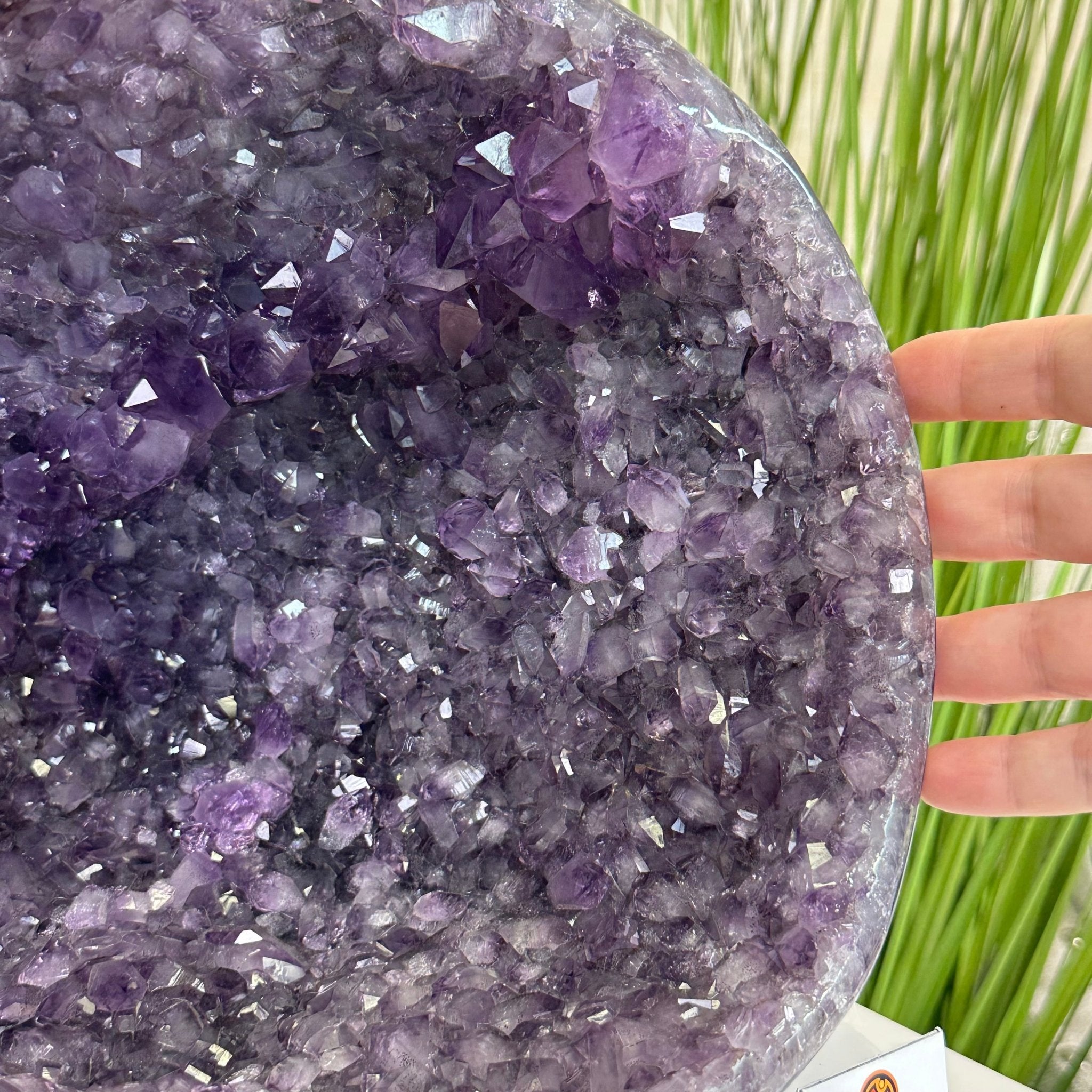 Extra Quality Brazilian Amethyst Cone, 15.3 lbs & 9.9" Tall 5619AM - 016 - Brazil GemsBrazil GemsExtra Quality Brazilian Amethyst Cone, 15.3 lbs & 9.9" Tall 5619AM - 016Crystal Cones5619AM - 016