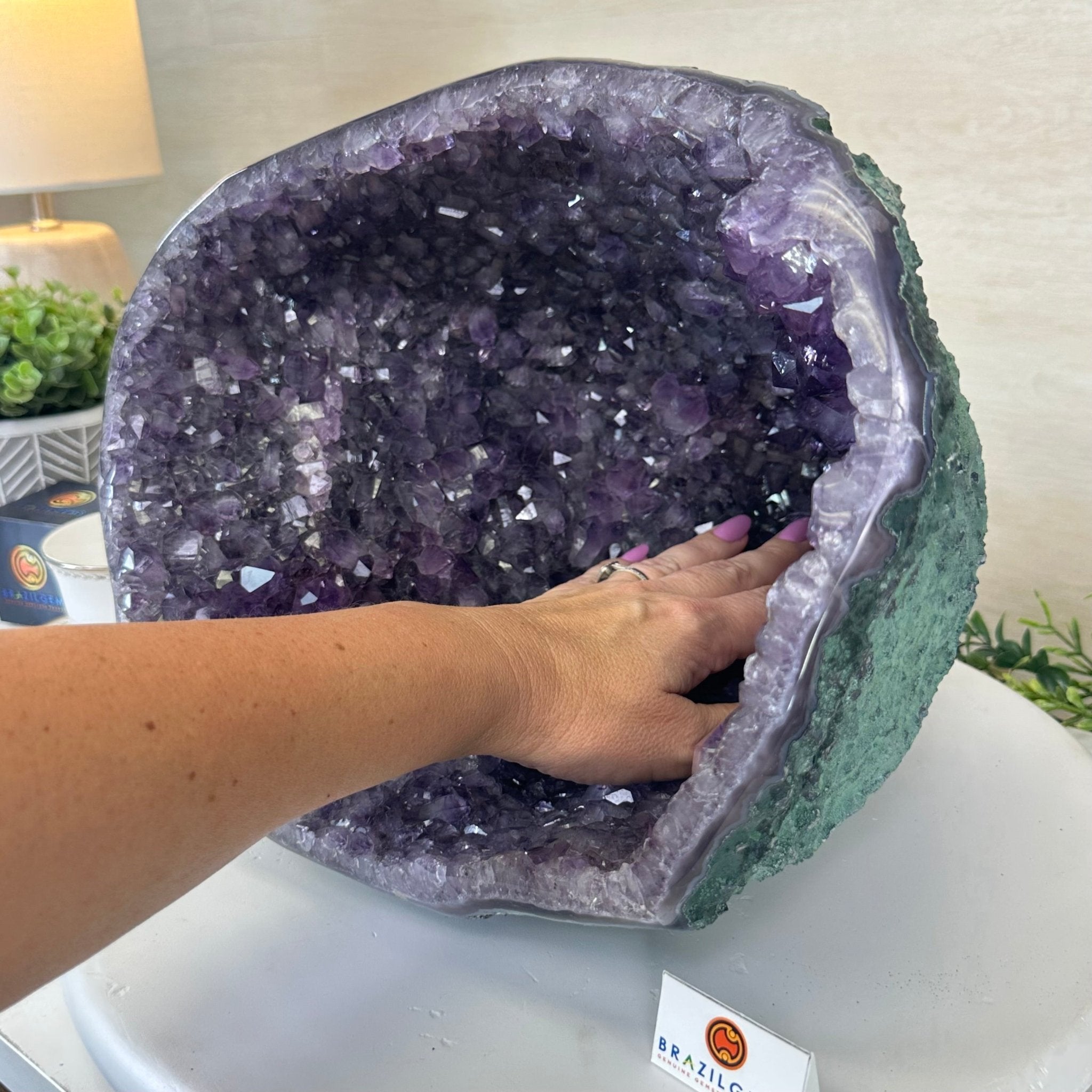 Extra Quality Brazilian Amethyst Cone, 15.3 lbs & 9.9" Tall 5619AM - 016 - Brazil GemsBrazil GemsExtra Quality Brazilian Amethyst Cone, 15.3 lbs & 9.9" Tall 5619AM - 016Crystal Cones5619AM - 016