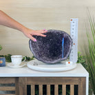 Extra Quality Brazilian Amethyst Cone, 15.3 lbs & 9.9" Tall 5619AM - 016 - Brazil GemsBrazil GemsExtra Quality Brazilian Amethyst Cone, 15.3 lbs & 9.9" Tall 5619AM - 016Crystal Cones5619AM - 016