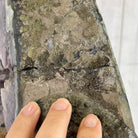 Extra Quality Brazilian Amethyst Crystal Portal on a Tall Rotating Stand, 81.6 lbs & 70" tall Model #5604-0104 by Brazil Gems - Brazil GemsBrazil GemsExtra Quality Brazilian Amethyst Crystal Portal on a Tall Rotating Stand, 81.6 lbs & 70" tall Model #5604-0104 by Brazil GemsPortals on Rotating Bases5604-0104