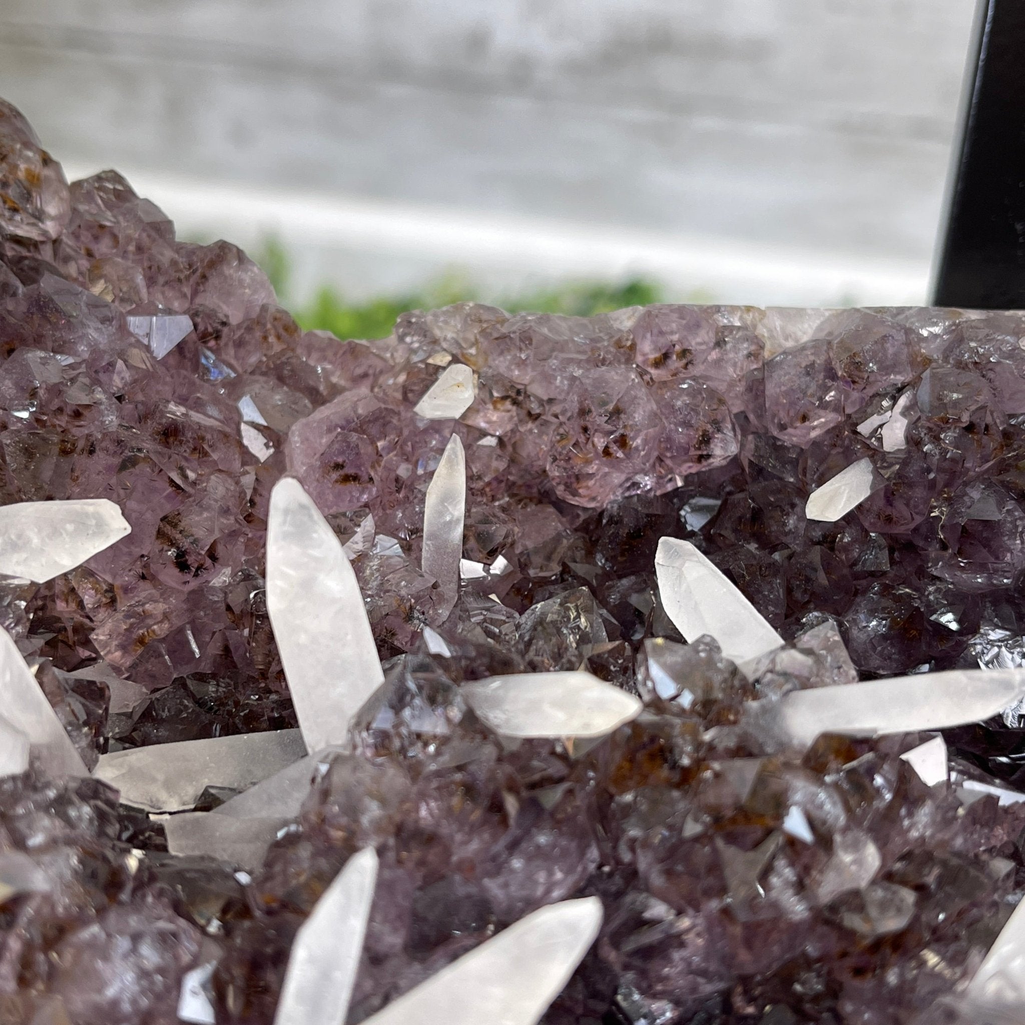 Extra Quality Brazilian Amethyst Geode Coffee Table, 84.1 lbs & 15.5" tall #1385-0079 by Brazil Gems - Brazil GemsBrazil GemsExtra Quality Brazilian Amethyst Geode Coffee Table, 84.1 lbs & 15.5" tall #1385-0079 by Brazil GemsTables: Coffee1385-0079