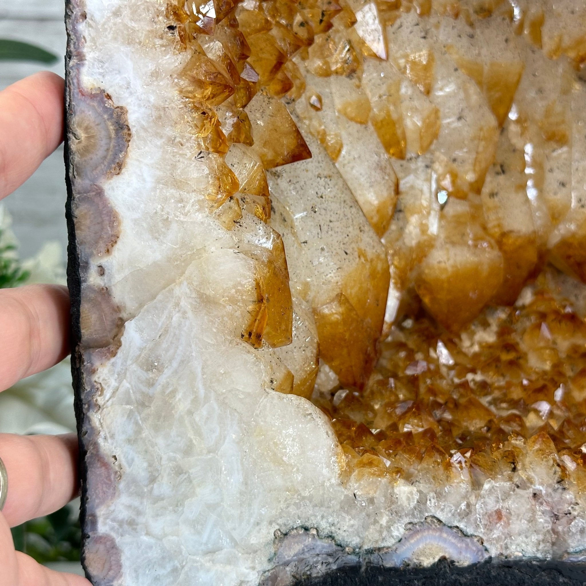 Extra Quality Citrine Cathedral, 103.9 lbs & 26.5" Tall #5603-0309 by Brazil Gems® - Brazil GemsBrazil GemsExtra Quality Citrine Cathedral, 103.9 lbs & 26.5" Tall #5603-0309 by Brazil Gems®Cathedrals5603-0309