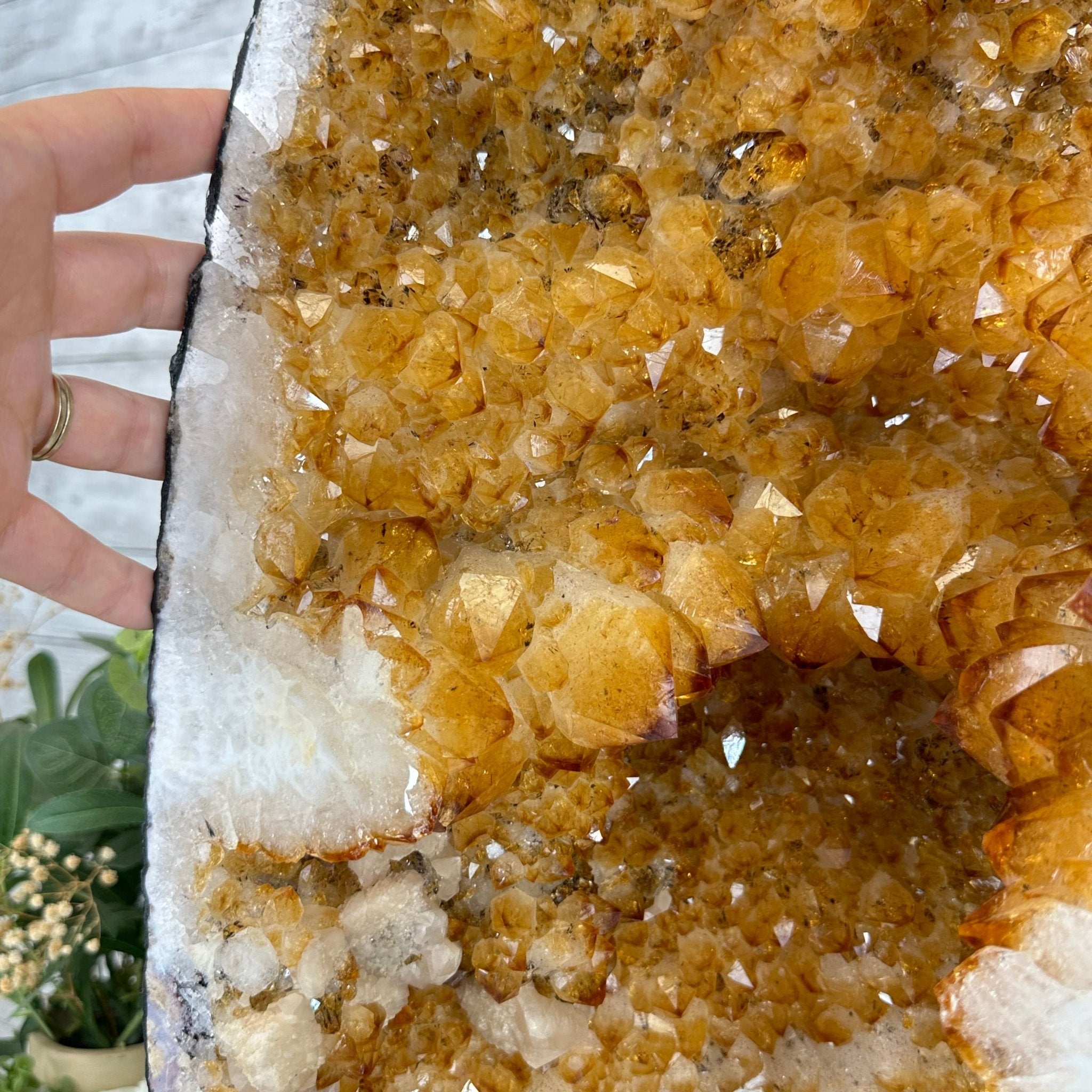 Extra Quality Citrine Cathedral, 103.9 lbs & 26.5" Tall #5603-0309 by Brazil Gems® - Brazil GemsBrazil GemsExtra Quality Citrine Cathedral, 103.9 lbs & 26.5" Tall #5603-0309 by Brazil Gems®Cathedrals5603-0309