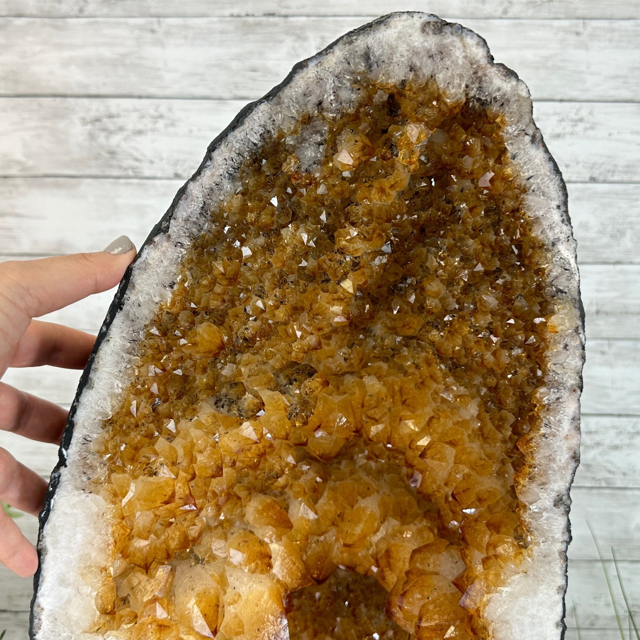 Extra Quality Citrine Cathedral, 103.9 lbs & 26.5" Tall #5603-0309 by Brazil Gems® - Brazil GemsBrazil GemsExtra Quality Citrine Cathedral, 103.9 lbs & 26.5" Tall #5603-0309 by Brazil Gems®Cathedrals5603-0309