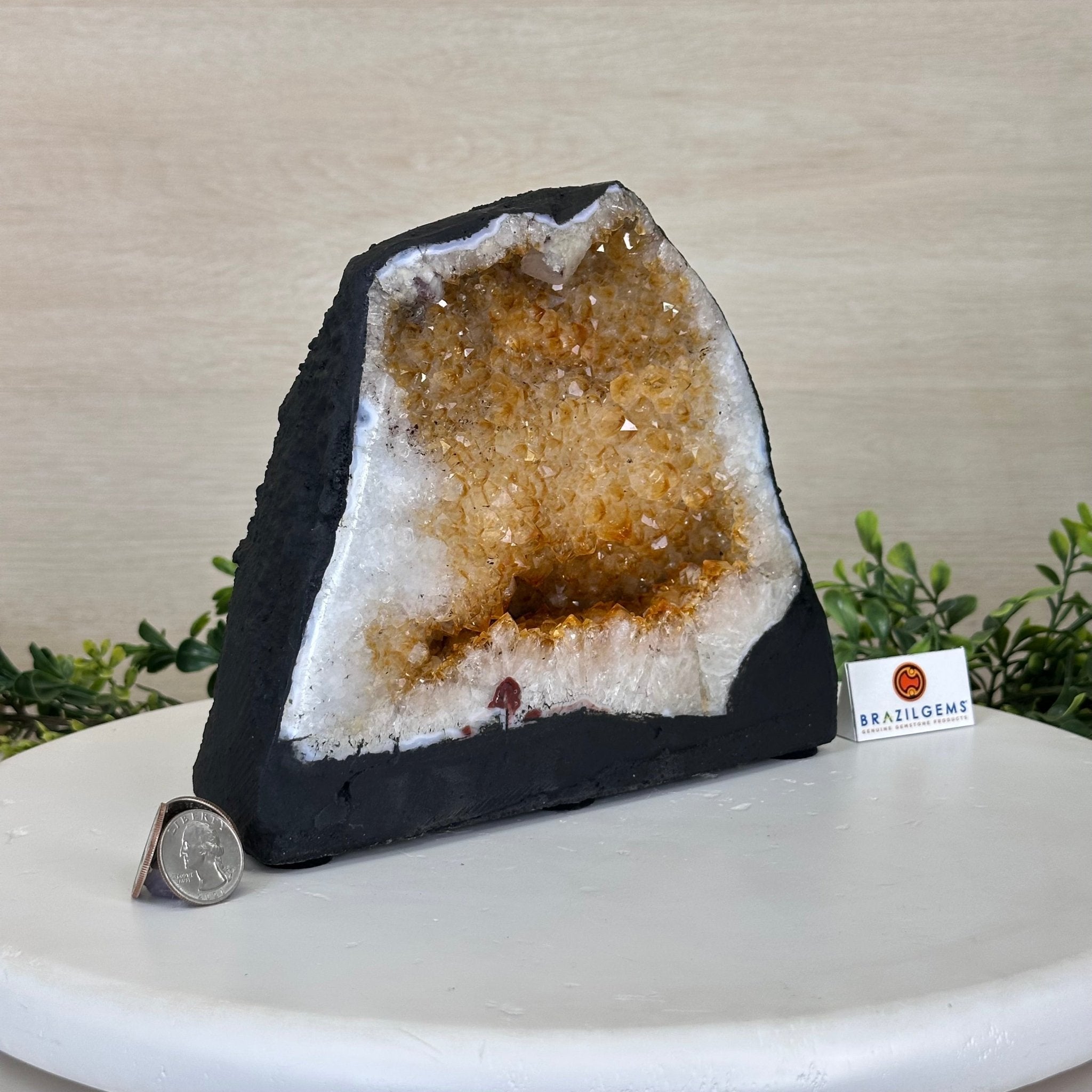 Extra Quality Citrine Cathedral, 11.4 lbs & 7" Tall 5603 - 0367 - Brazil GemsBrazil GemsExtra Quality Citrine Cathedral, 11.4 lbs & 7" Tall 5603 - 0367Cathedrals5603 - 0367