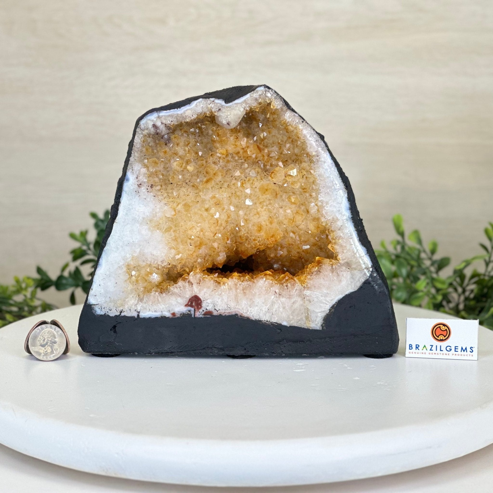 Extra Quality Citrine Cathedral, 11.4 lbs & 7" Tall 5603 - 0367 - Brazil GemsBrazil GemsExtra Quality Citrine Cathedral, 11.4 lbs & 7" Tall 5603 - 0367Cathedrals5603 - 0367