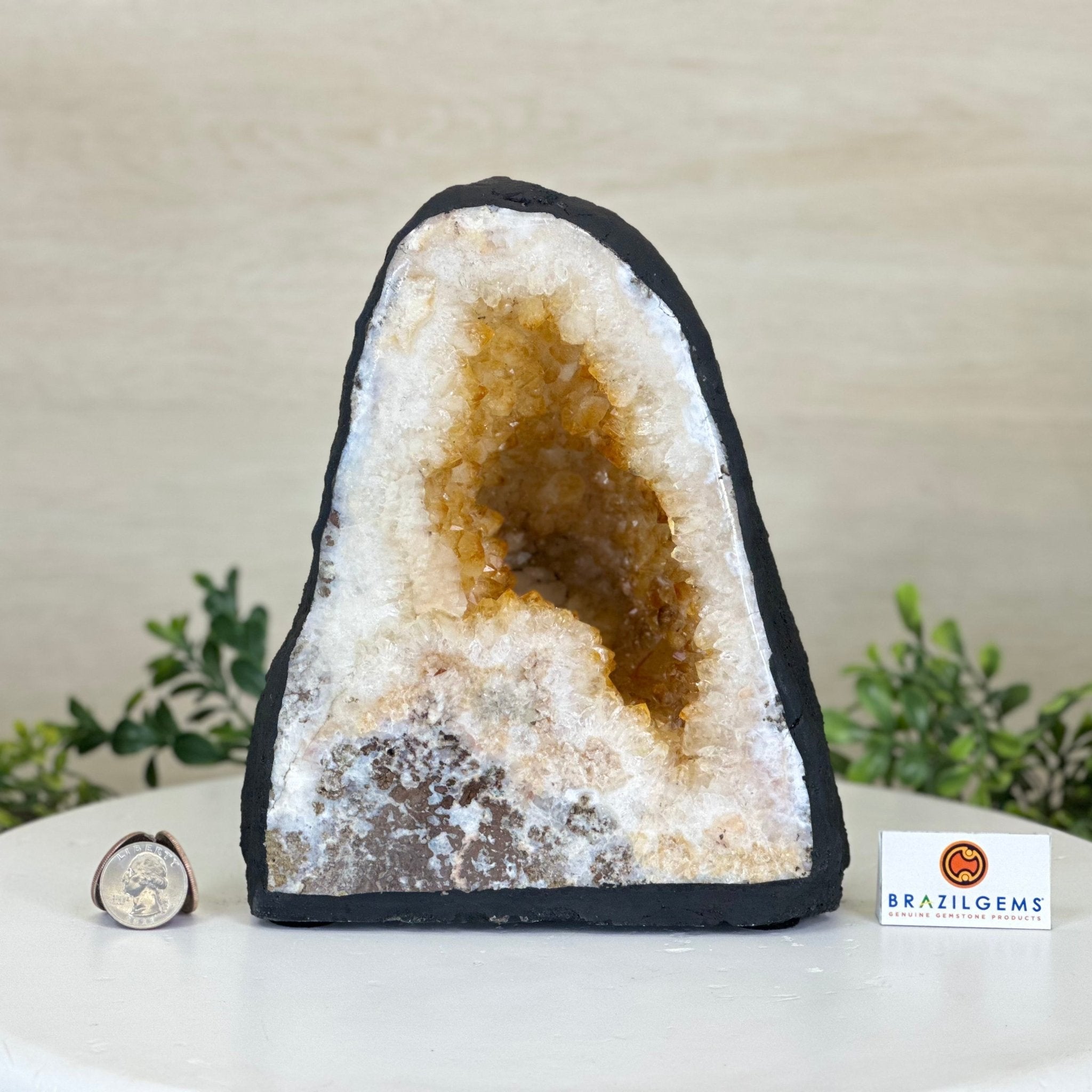 Extra Quality Citrine Cathedral, 11.6 lbs & 8.2" Tall 5603 - 0368 - Brazil GemsBrazil GemsExtra Quality Citrine Cathedral, 11.6 lbs & 8.2" Tall 5603 - 0368Cathedrals5603 - 0368