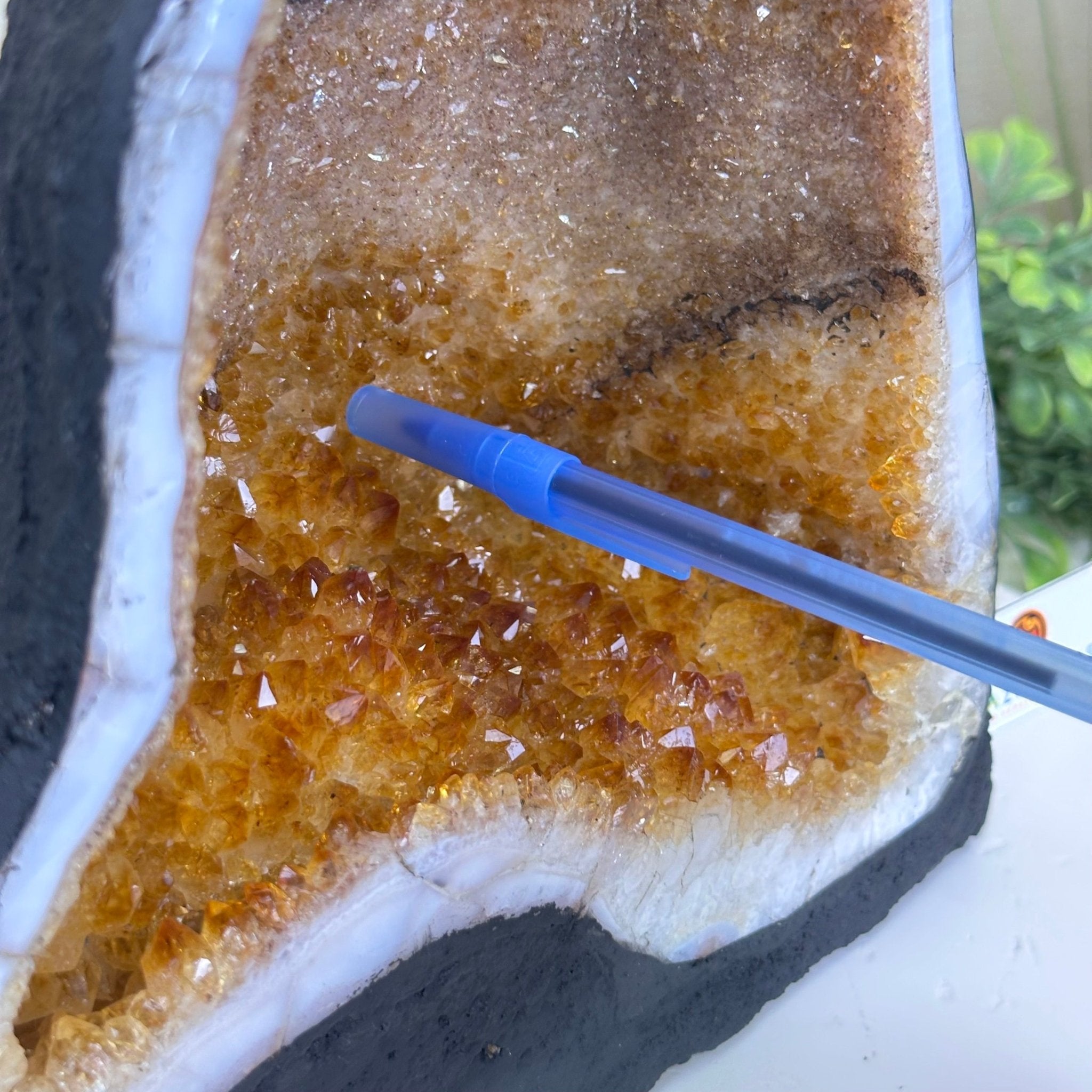 Extra Quality Citrine Cathedral, 15.7 lbs & 10.9" Tall 5603 - 0373 - Brazil GemsBrazil GemsExtra Quality Citrine Cathedral, 15.7 lbs & 10.9" Tall 5603 - 0373Cathedrals5603 - 0373