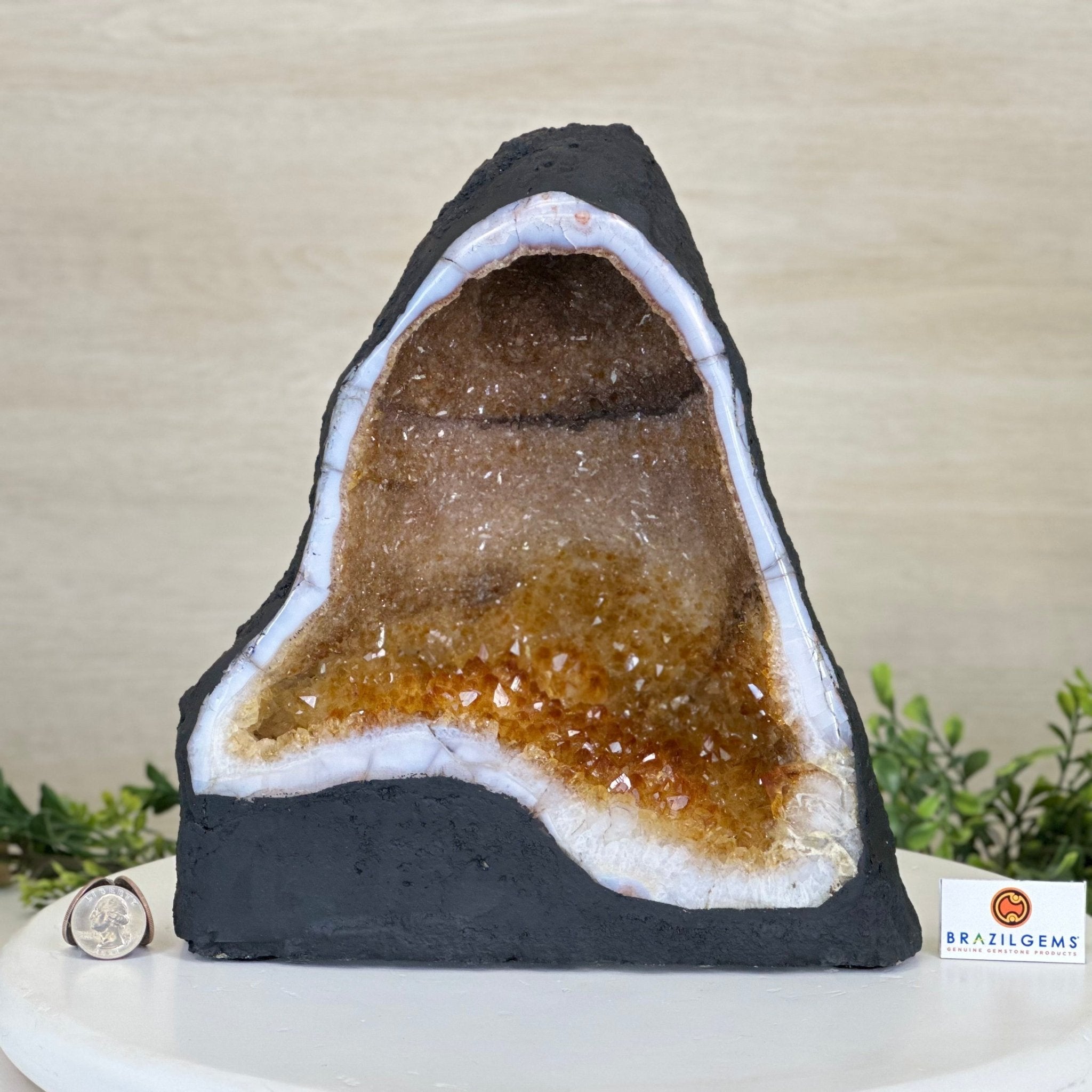 Extra Quality Citrine Cathedral, 15.7 lbs & 10.9" Tall 5603 - 0373 - Brazil GemsBrazil GemsExtra Quality Citrine Cathedral, 15.7 lbs & 10.9" Tall 5603 - 0373Cathedrals5603 - 0373