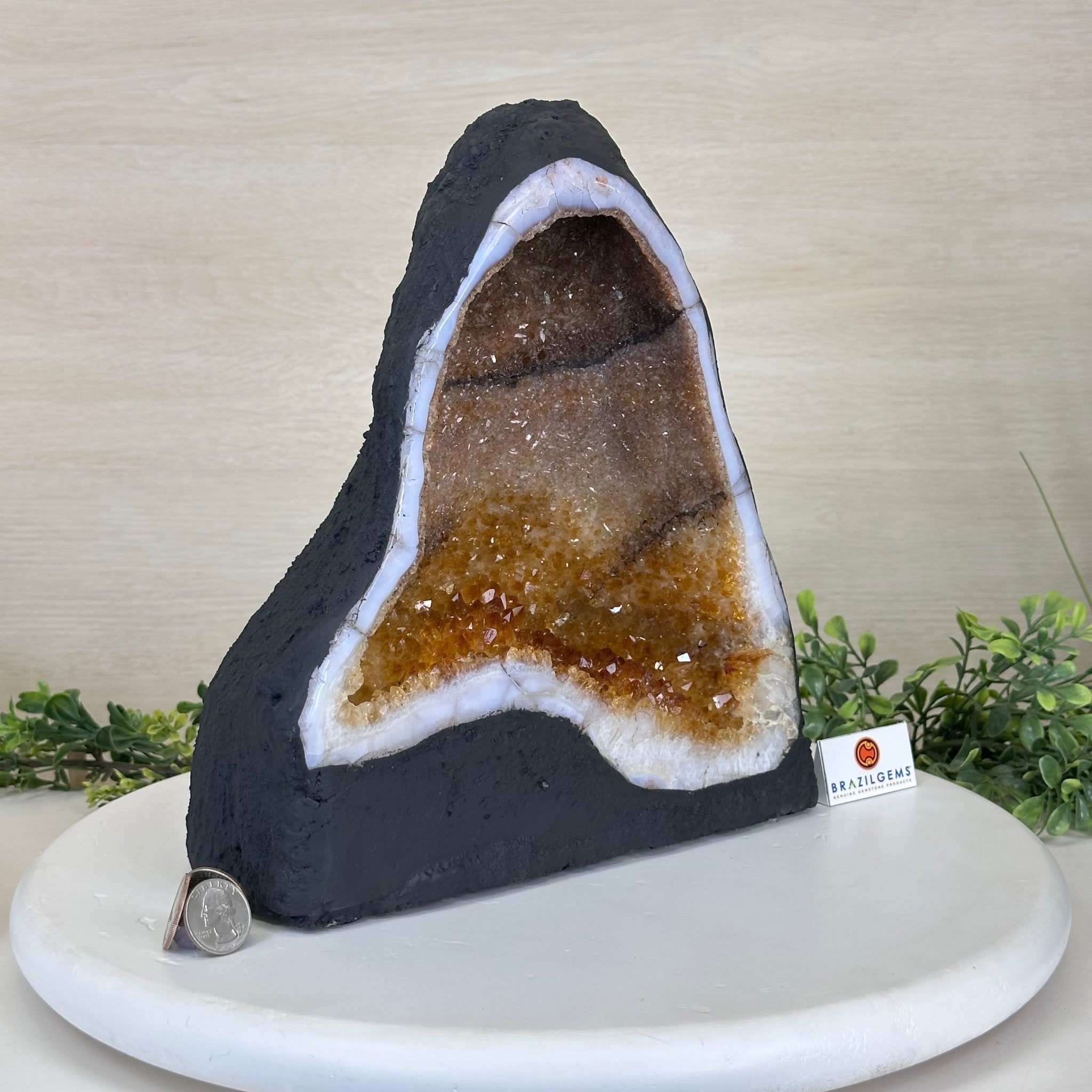 Extra Quality Citrine Cathedral, 15.7 lbs & 10.9" Tall 5603 - 0373 - Brazil GemsBrazil GemsExtra Quality Citrine Cathedral, 15.7 lbs & 10.9" Tall 5603 - 0373Cathedrals5603 - 0373