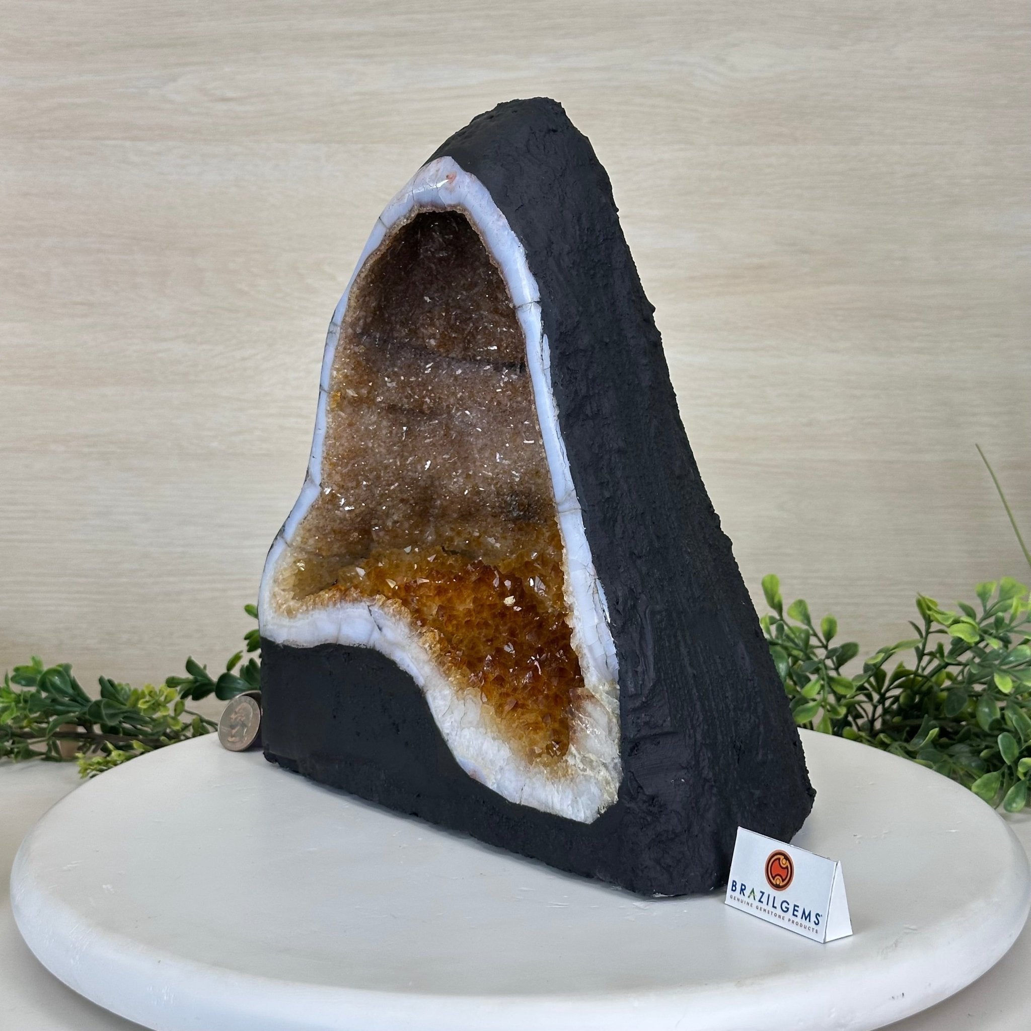 Extra Quality Citrine Cathedral, 15.7 lbs & 10.9" Tall 5603 - 0373 - Brazil GemsBrazil GemsExtra Quality Citrine Cathedral, 15.7 lbs & 10.9" Tall 5603 - 0373Cathedrals5603 - 0373