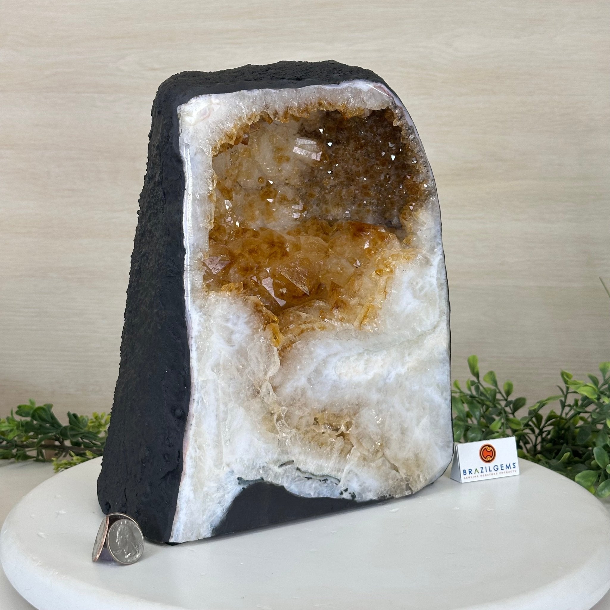Extra Quality Citrine Cathedral, 24.9 lbs & 10.9" Tall 5603 - 0383 - Brazil GemsBrazil GemsExtra Quality Citrine Cathedral, 24.9 lbs & 10.9" Tall 5603 - 0383Cathedrals5603 - 0383