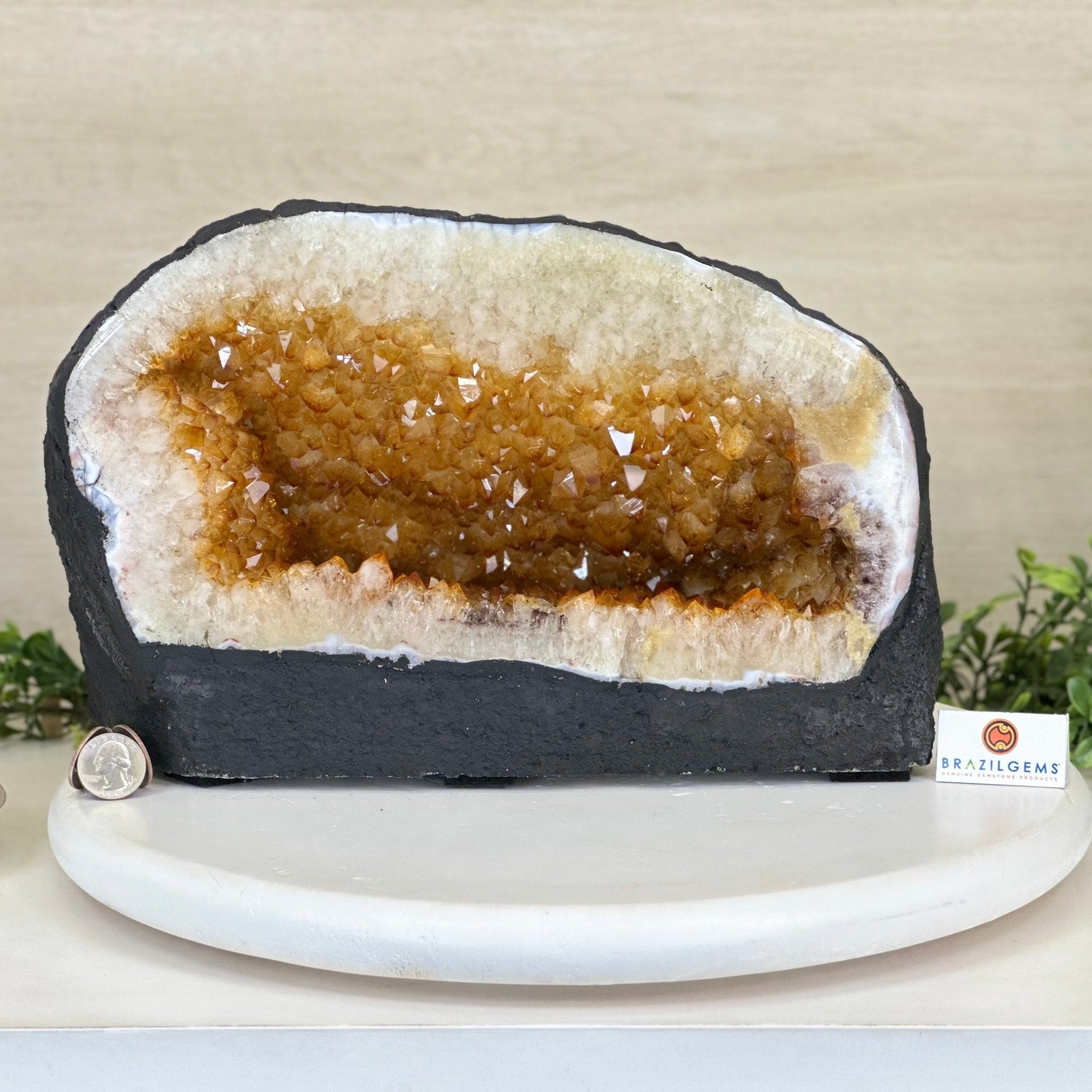 Extra Quality Citrine Cathedral, 24.9 lbs & 8.3" Tall 5603 - 0384 - Brazil GemsBrazil GemsExtra Quality Citrine Cathedral, 24.9 lbs & 8.3" Tall 5603 - 0384Cathedrals5603 - 0384