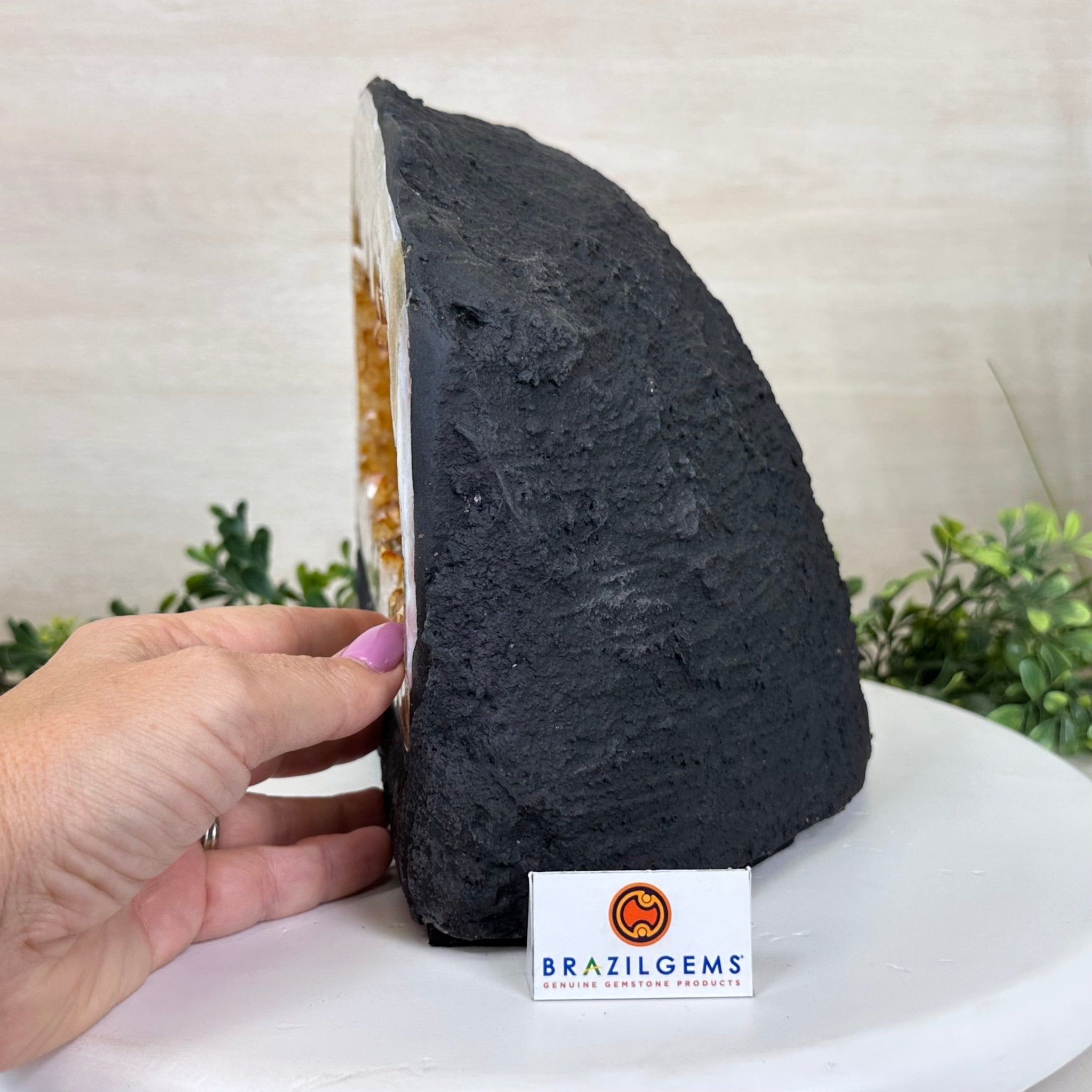 Extra Quality Citrine Cathedral, 24.9 lbs & 8.3" Tall 5603 - 0384 - Brazil GemsBrazil GemsExtra Quality Citrine Cathedral, 24.9 lbs & 8.3" Tall 5603 - 0384Cathedrals5603 - 0384